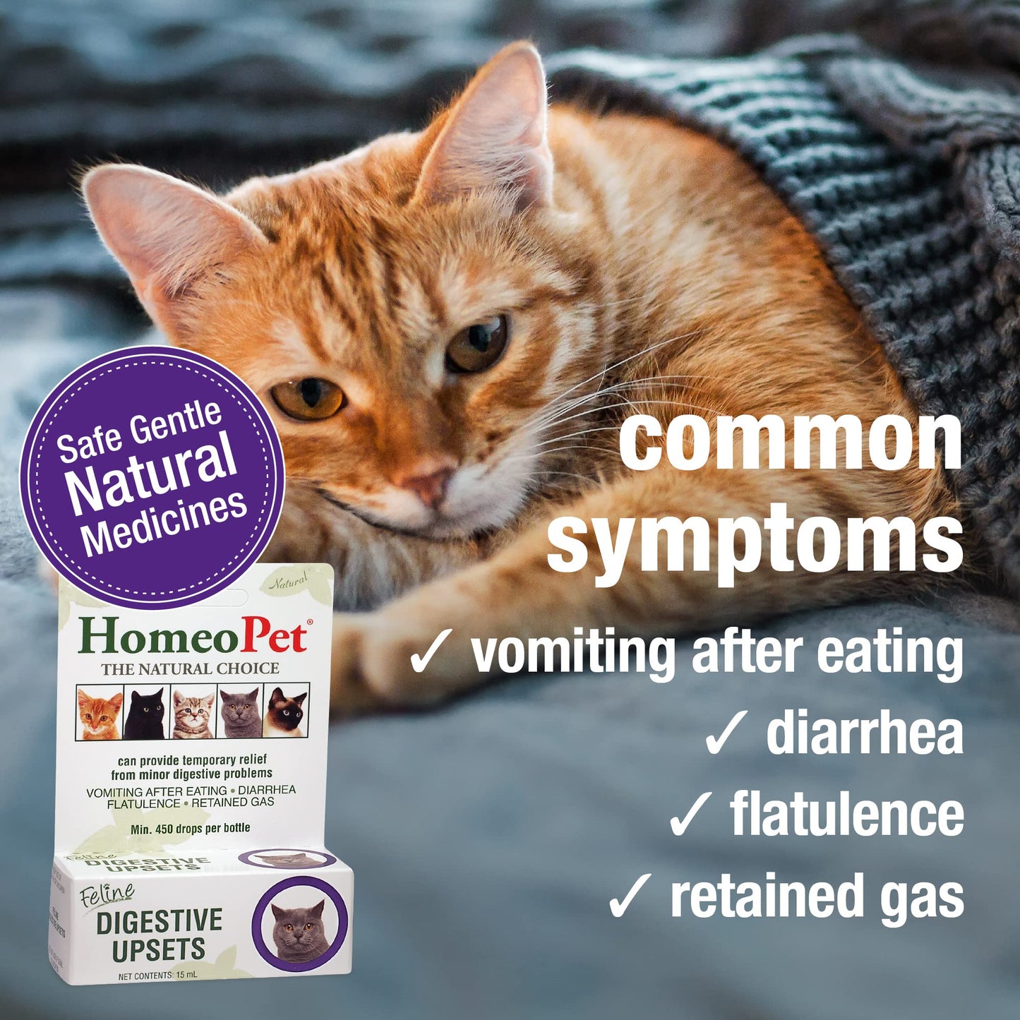 HomeoPet Feline Digestive Upsets, Natural Cat Digestive Support, Digestive Supplement for Cats, 15 Milliliters