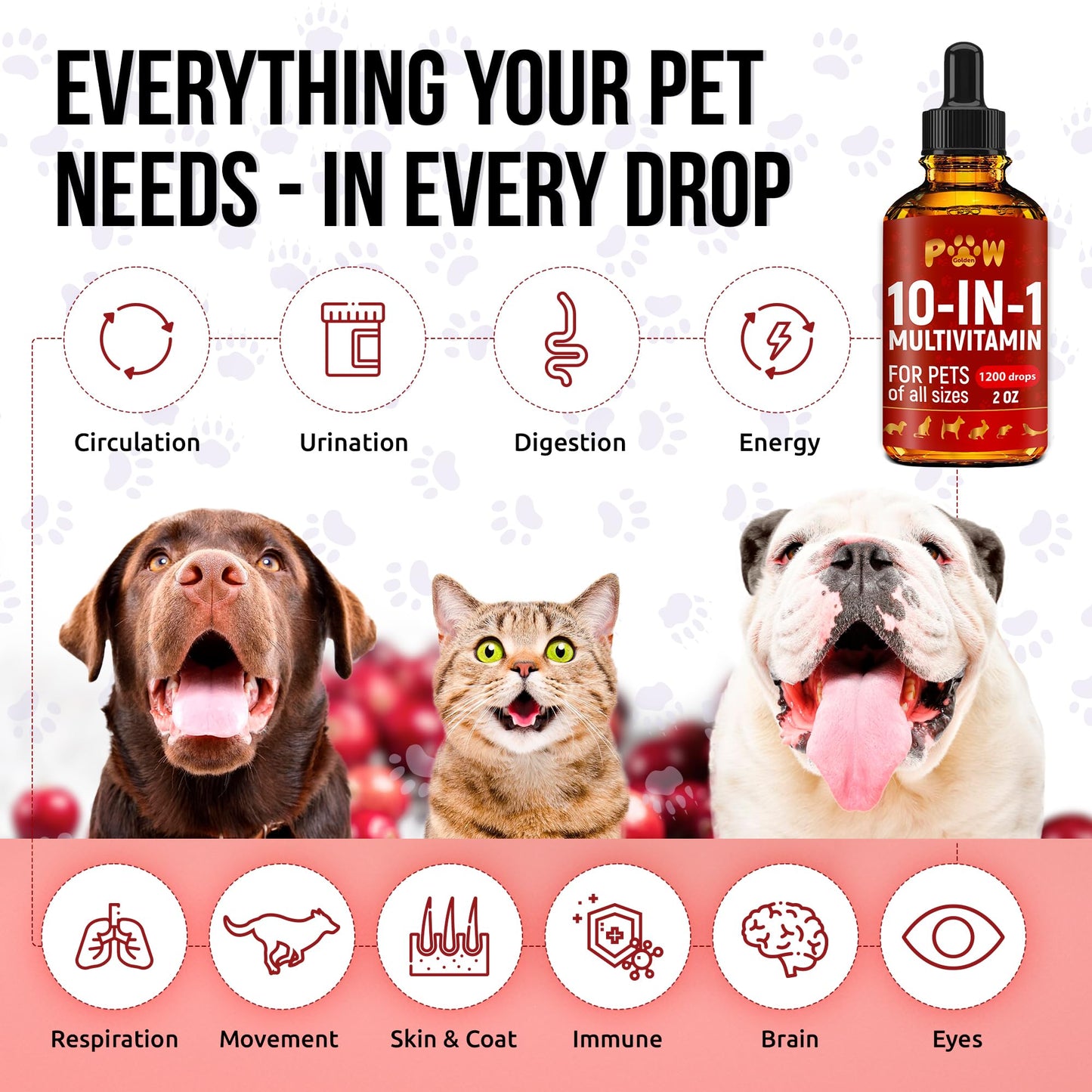 Liquid Multivitamin for Dogs | 10-in-1 Multivitamin for Cats | Vitamin B Complex for Cats & Dogs | Cranberry Supplement | for Urination, Digestion, Breathing & Movement | for All Pets Ages | 2 Oz