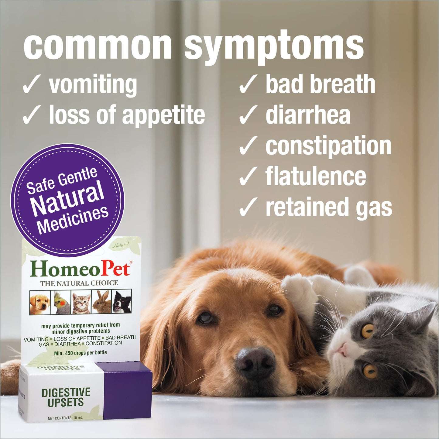 HomeoPet Digestive Upsets, Natural Pet Digestive Support, Digestive Supplement for Dogs, Cats, and Small Pets, 15 Milliliters