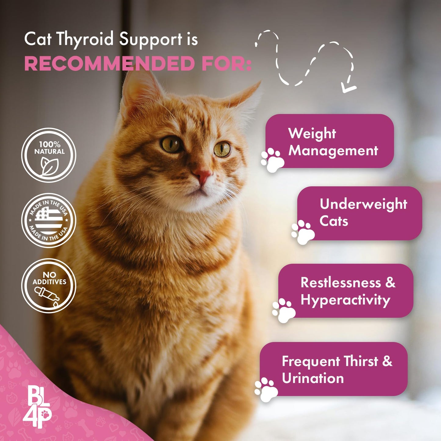 Cat Weight Gain & Hyperthyroidism Treatment, Safe and Effective Cat Appetite Stimulant, Thyroid and Metabolic Support, Weight Management Remedy, 400 All-Natural Odorless, Tasteless Pills