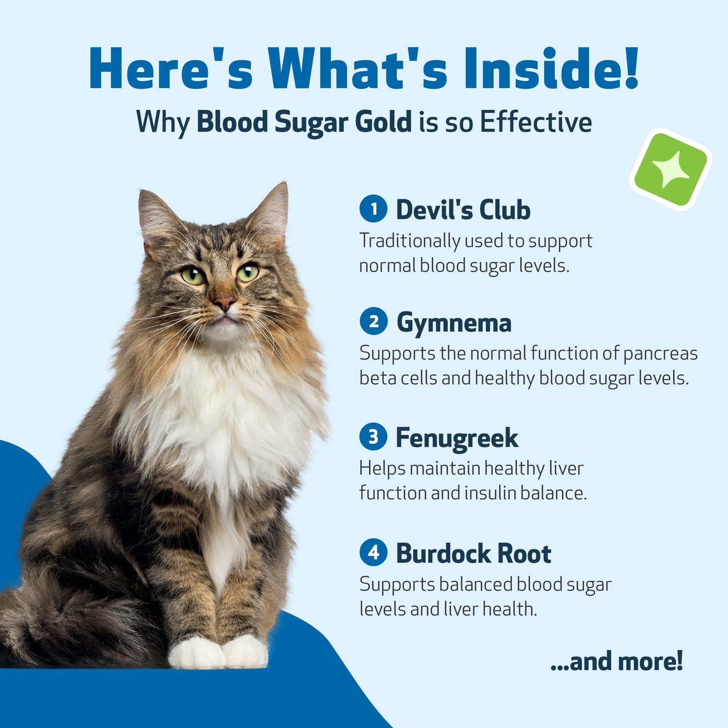 Pet Wellbeing - Blood Sugar Gold for Cats - Natural Support for Healthy Blood Sugar Levels in Diabetic Cats - Insulin Stabilization & Normal Pancreatic Function - 2 oz (59 ml)