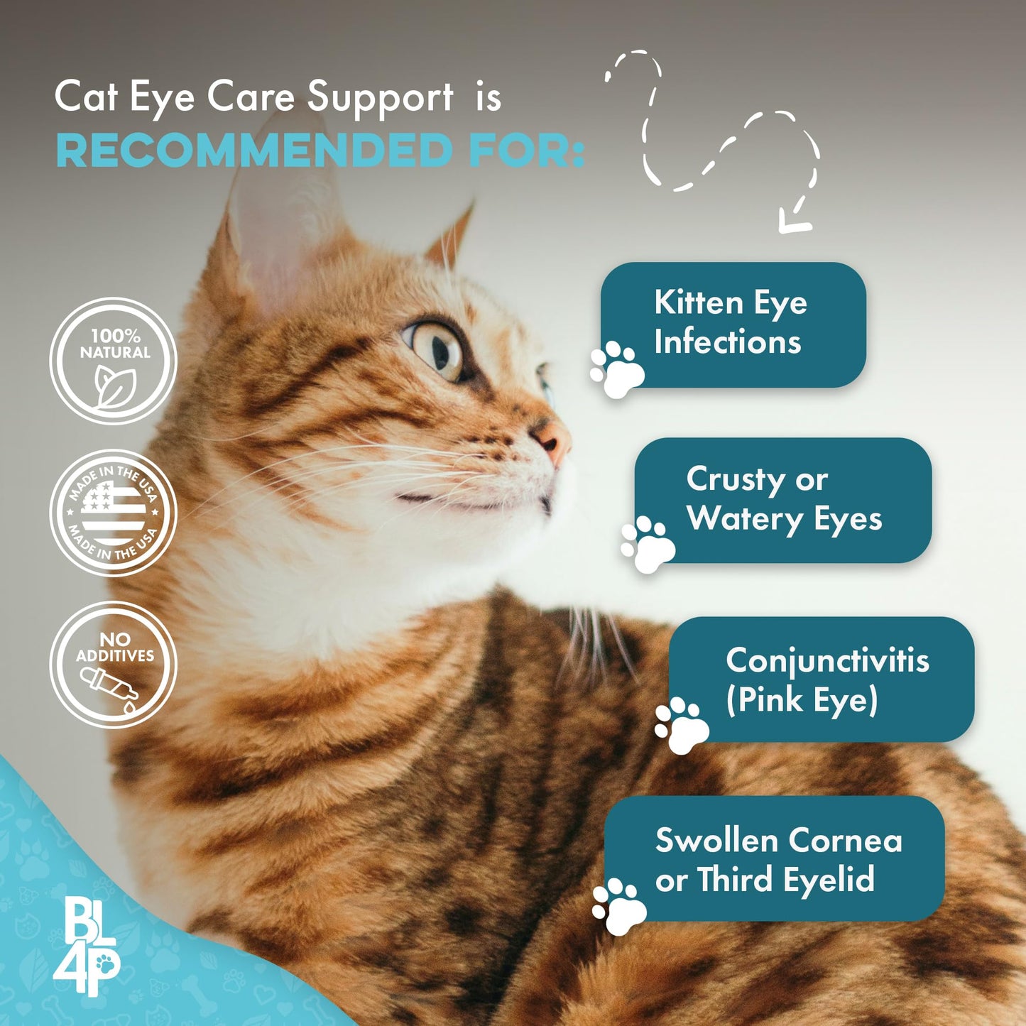 Cat Eye Infection & Vision Care Support, Holistic Vision Support for Cats & Kittens, Soothes Eye Infections, Conjunctivitis, Swelling, and Discharge, Easy to Use, 400 Odorless, Tasteless Pills