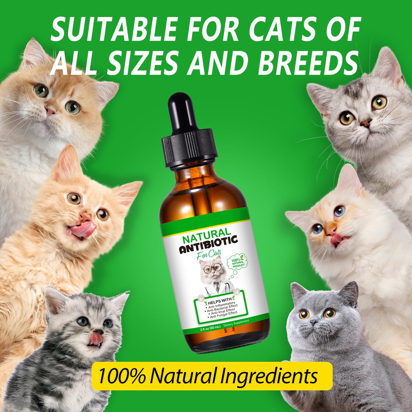 SDJUFEI Natural Antibiotics for Cats, Pet Supplements, 2 Fl Oz / 1 Pack Cats Multivitamin, Cat Antibiotic, Supports Cat Allergy Itch Relief, Chicken Flavor