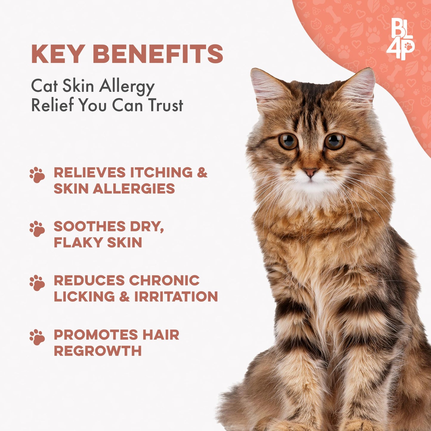 Cat Itchy Skin Relief & Hair Loss Treatment, Holistic Allergy Relief for Cats Calms Dry Skin, Dandruff & Reduces Licking, Scratching, Patchy, Matted and Shedding Fur, 400 Easy to Use Pills