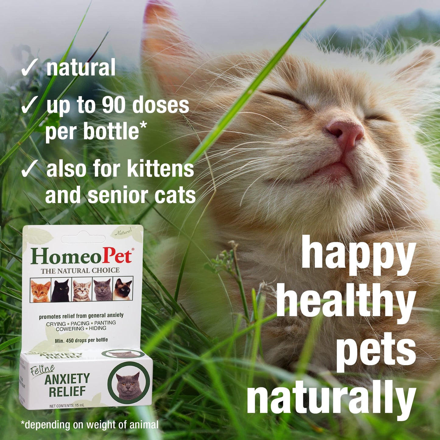 HomeoPet Feline Anxiety Relief, Natural Stress and Anxiety Support, Anxiety Supplement for Cats, 15 Milliliters