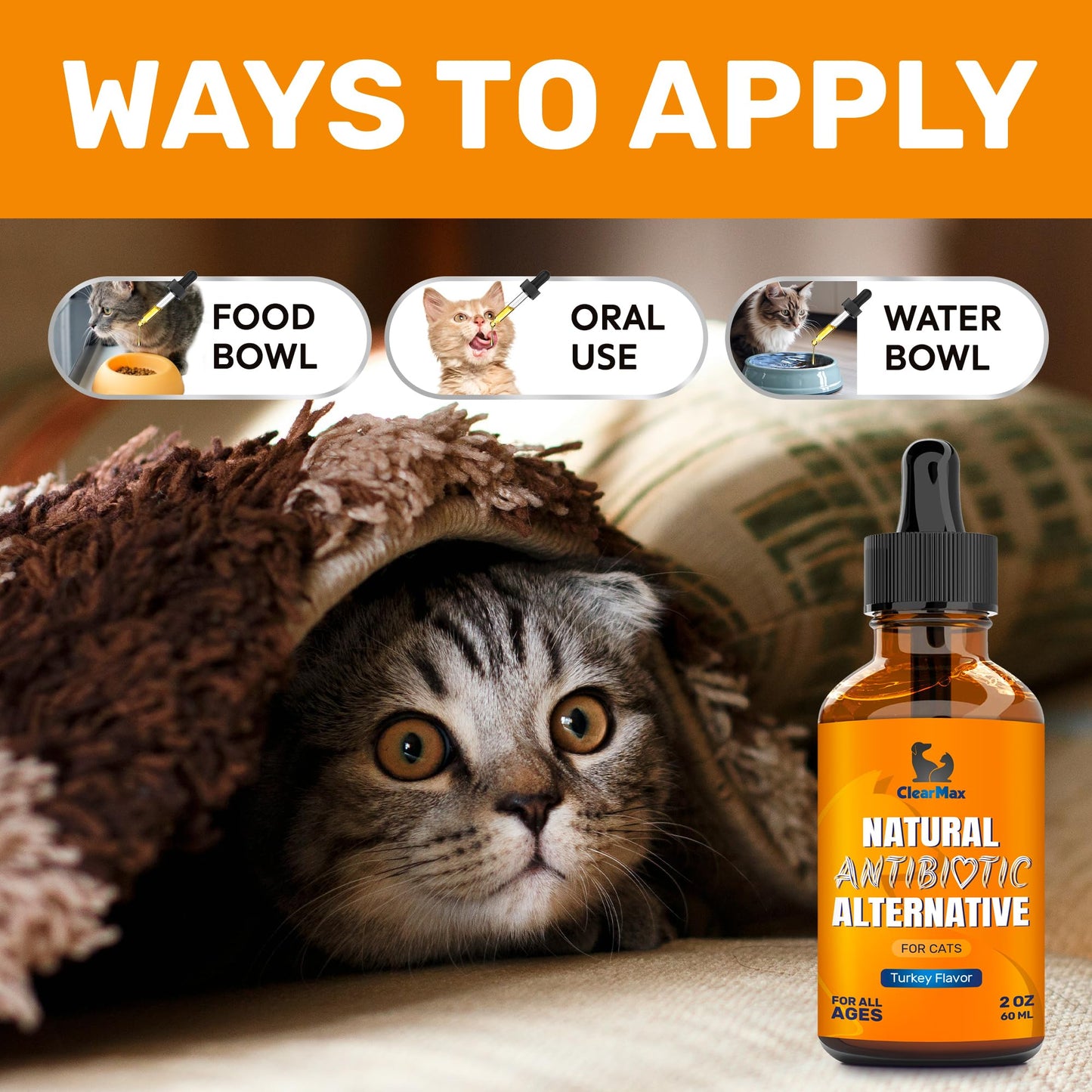 Antibiotics for Cats in Drops – Cat Antibiotics for Infection, Cough, UTIs, Allergies – Natural Supplement with Turkey Flavor May Support HIPS & Joints – Proper for All Ages & Breeds – 2 Oz