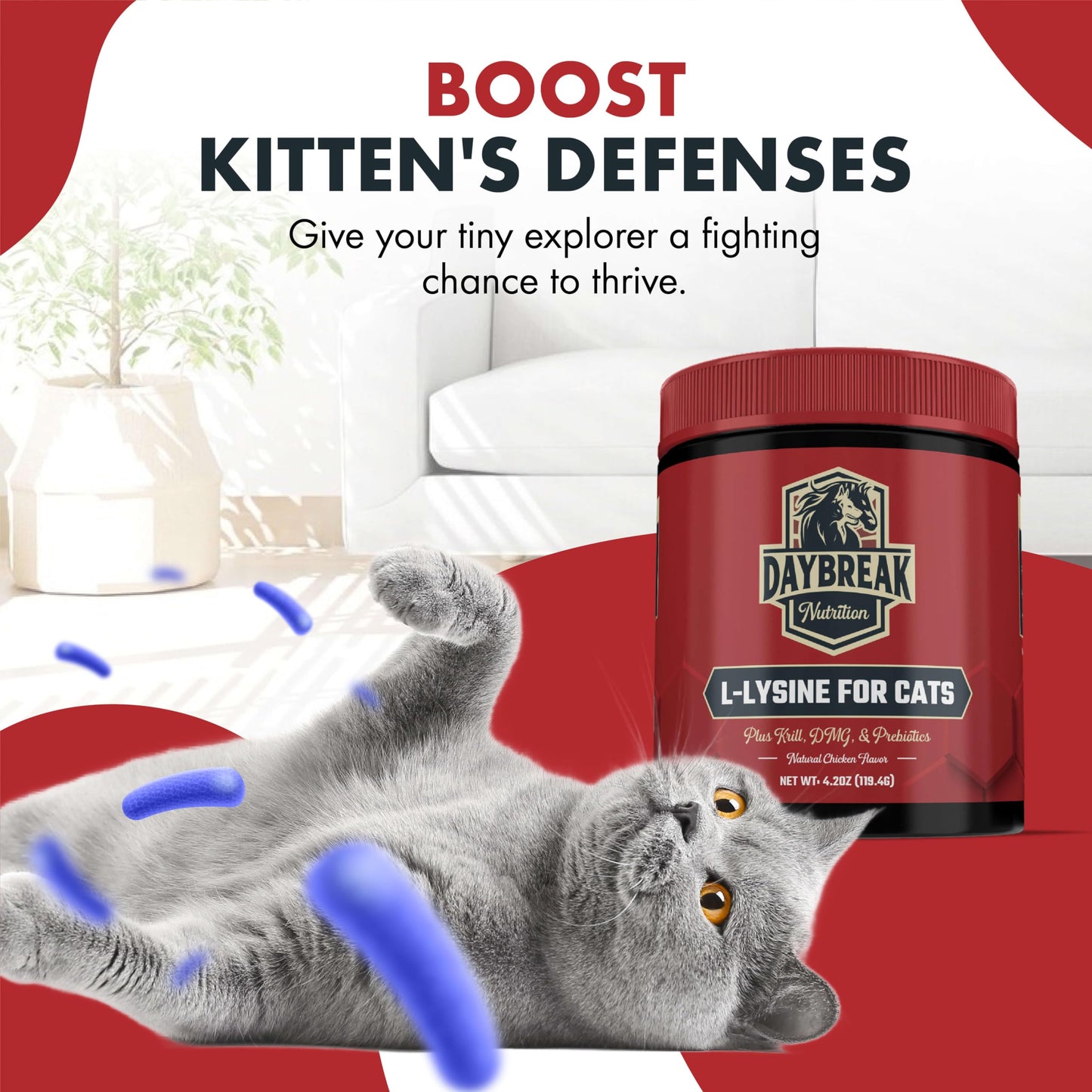 L-Lysine for Cats and Kittens - 900 mg L Lysine Powder for Cats for Immunity & Respiratory Support - Cat Supplement with L-Lysine, Prebiotics, Krill, & DMG for Immune System, Eye Health & Sneezing