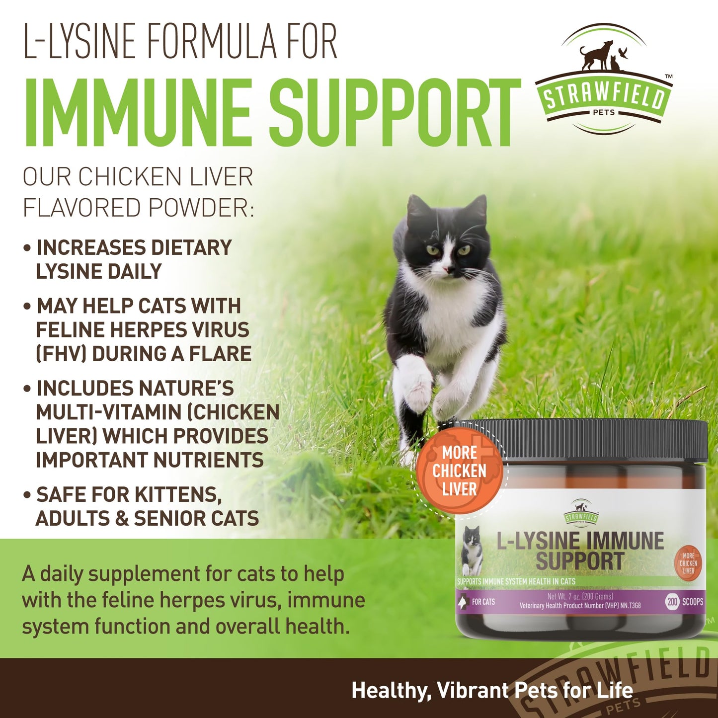 Strawfield Pets L-Lysine Immune Support for Cats & Kittens - 200g Chicken Liver Flavor Granules with Scoop, Immune Health Supplement Cat Cold Relief, Sneezing, Congestion, Running Nose, Watery Eyes