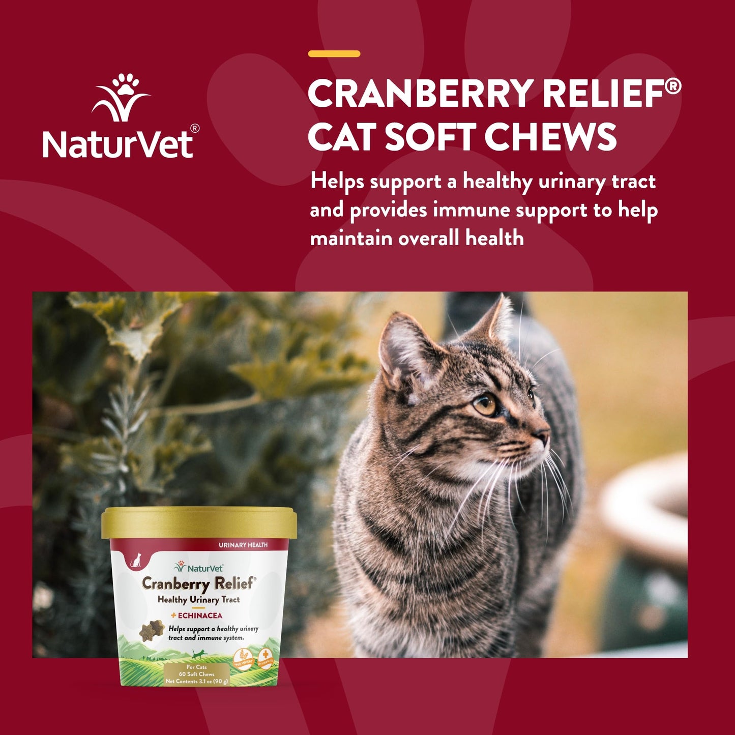 NaturVet Cranberry Relief Plus Echinacea for Cats, 60 ct Soft Chews, Made in The USA with Globally Source Ingredients