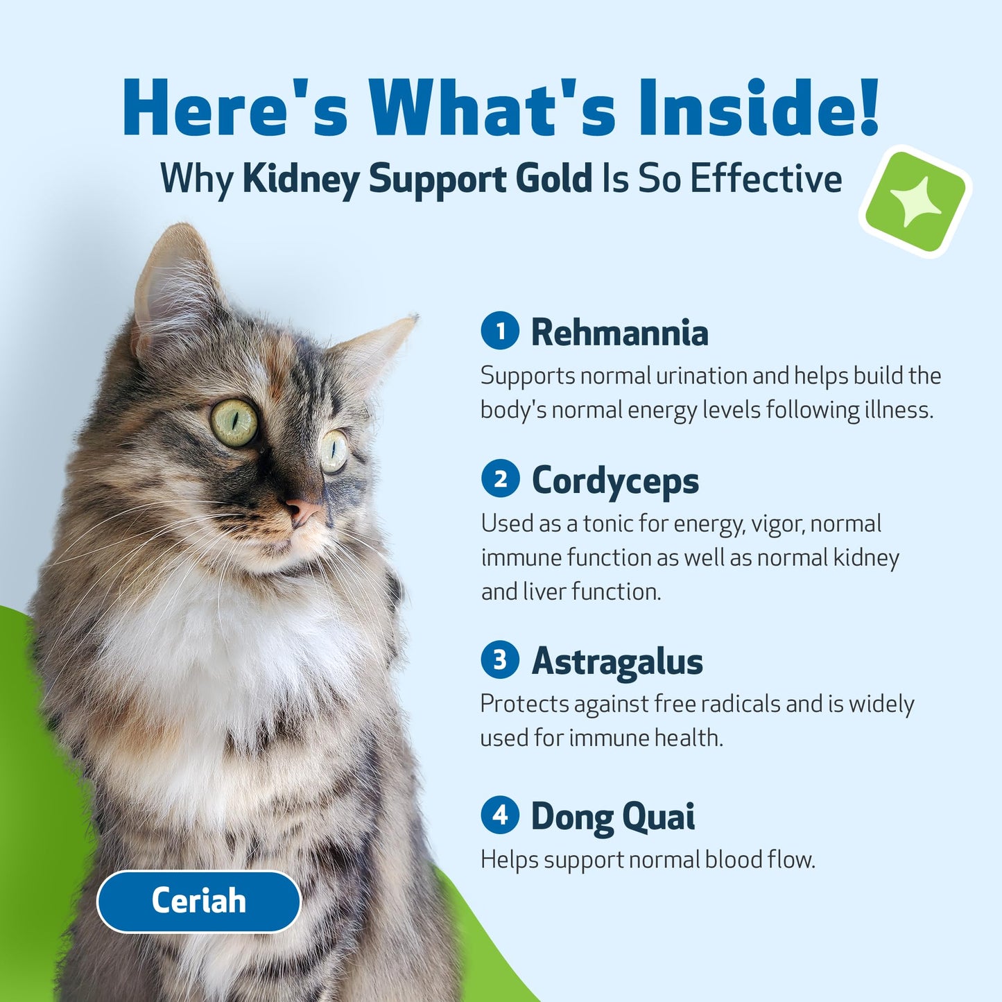 Pet Wellbeing Kidney Support Gold for Cats - Supports Healthy Kidney Function, Fluid Balance, Energy Levels, Rehmannia, Dong Quai - Veterinarian-Formulated Herbal Supplement 2 oz (59 ml)