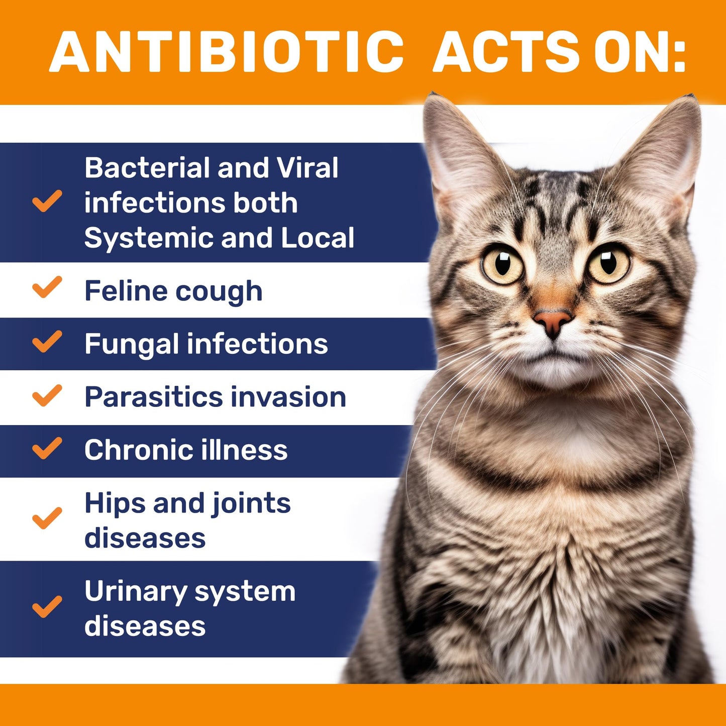 Cat Antibiotics for Infection & UTIs – Antibiotics for Cats to Help with Cough & Allergies – Herbal Supplement with All Natural Ingredients Supports Digestion and Hips & Joints – Chicken Flavor – 2 Oz