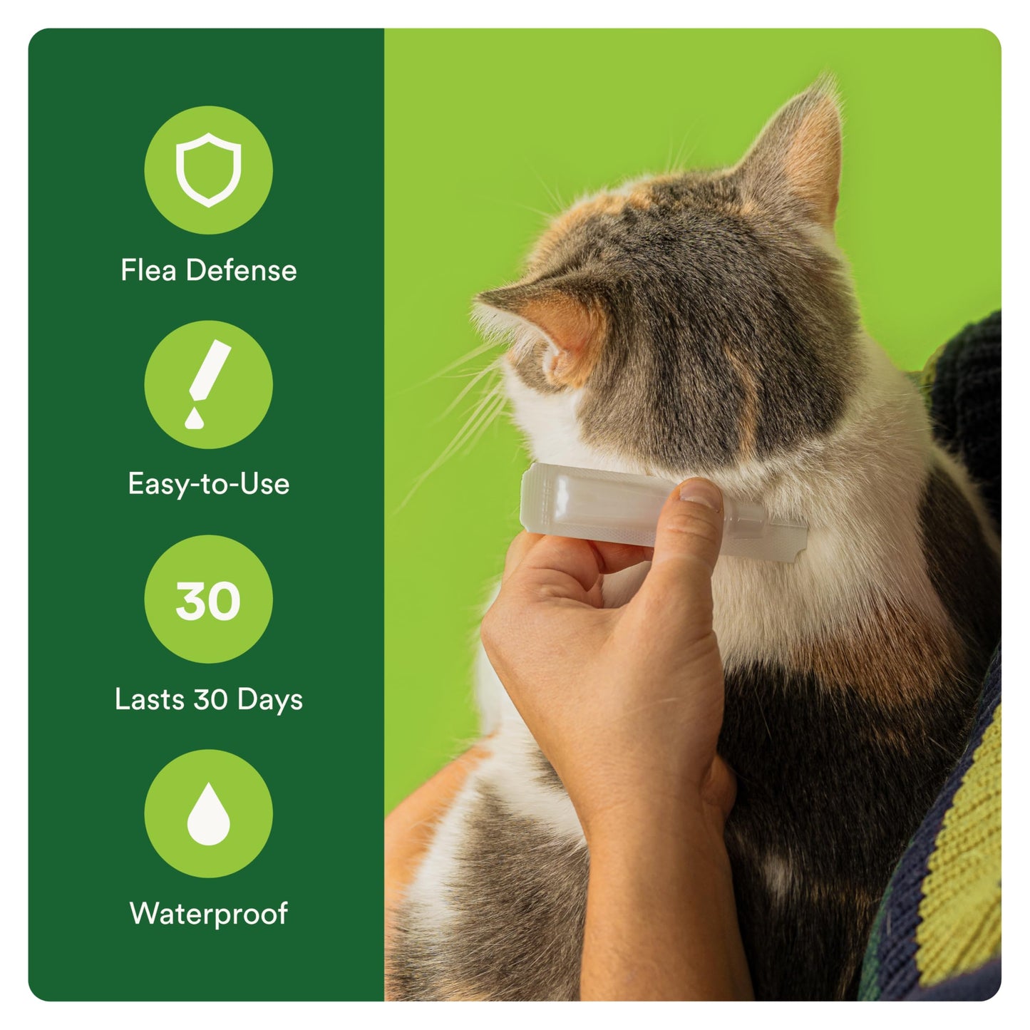 Advecta Plus Flea Prevention For Cats, Cat and Kitten Treatment & Control, Small and Large, Fast Acting Waterproof Topical Drops, 4 Month Supply