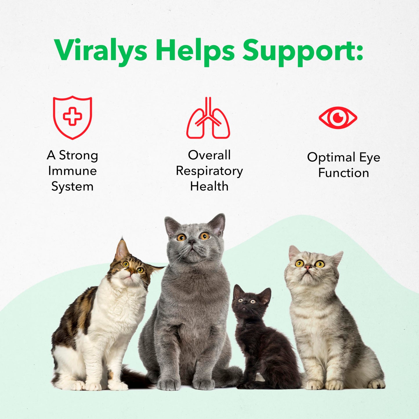 Vetoquinol Viralys Gel L-Lysine Supplement for Cats, 5oz - Cats & Kittens of All Ages - Immune Health - Sneezing, Runny Nose, Squinting, Watery Eyes - Palatable Maple Flavor Lysine Gel