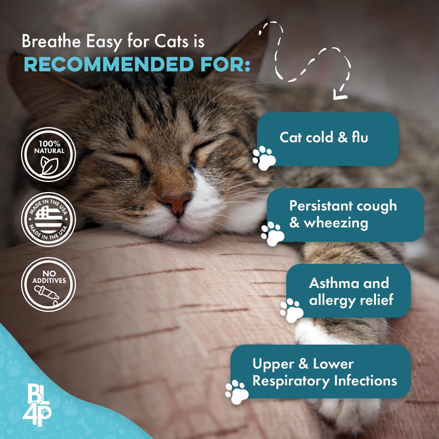 Cat Cold & Respiratory Infection Remedy, Breathe Easy Upper Respiratory Treatment for Cats Provides Natural Relief for Sneezing, Coughing, Nasal Congestion and Asthma, 400 Odorless, Tasteless Pills