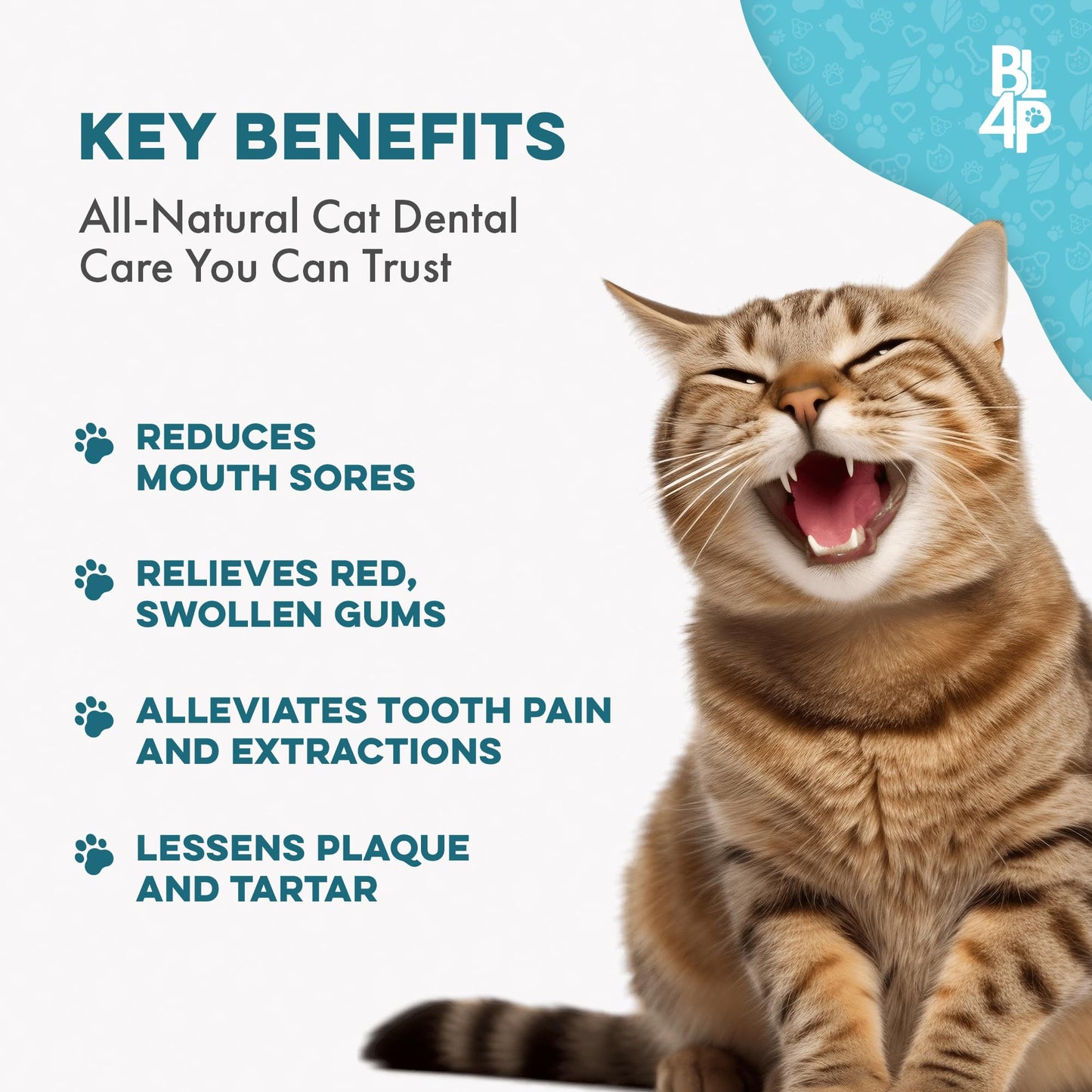 Cat Dental Care & Bad Breath Remedy, Natural Oral Health for Cats Teeth, Mouth, Gums, Daily Cat Breath Freshener, Plaque and Tartar Control Help Gingivitis and Stomatitis, Easy to Use 400 Tiny Pills