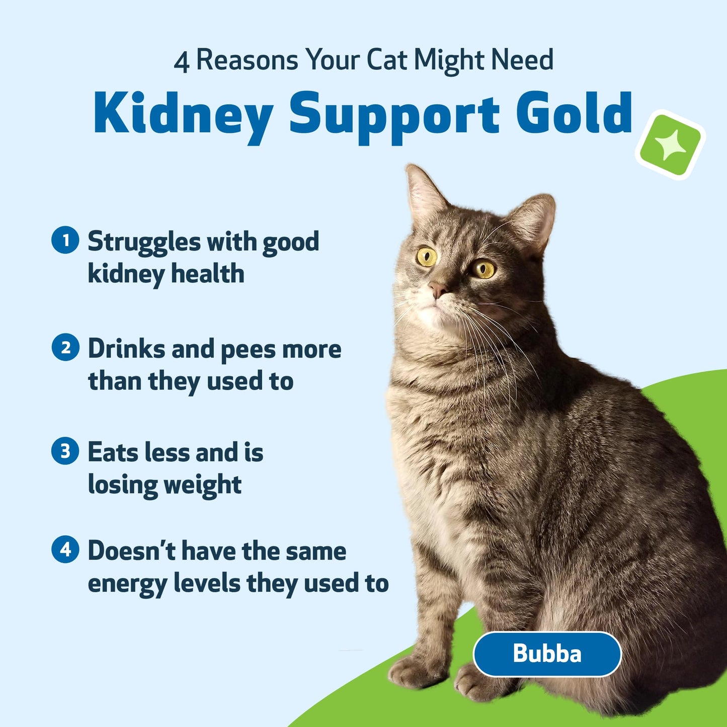 Pet Wellbeing Kidney Support Gold for Cats - Supports Healthy Kidney Function, Fluid Balance, Energy Levels, Rehmannia, Dong Quai - Veterinarian-Formulated Herbal Supplement 2 oz (59 ml)