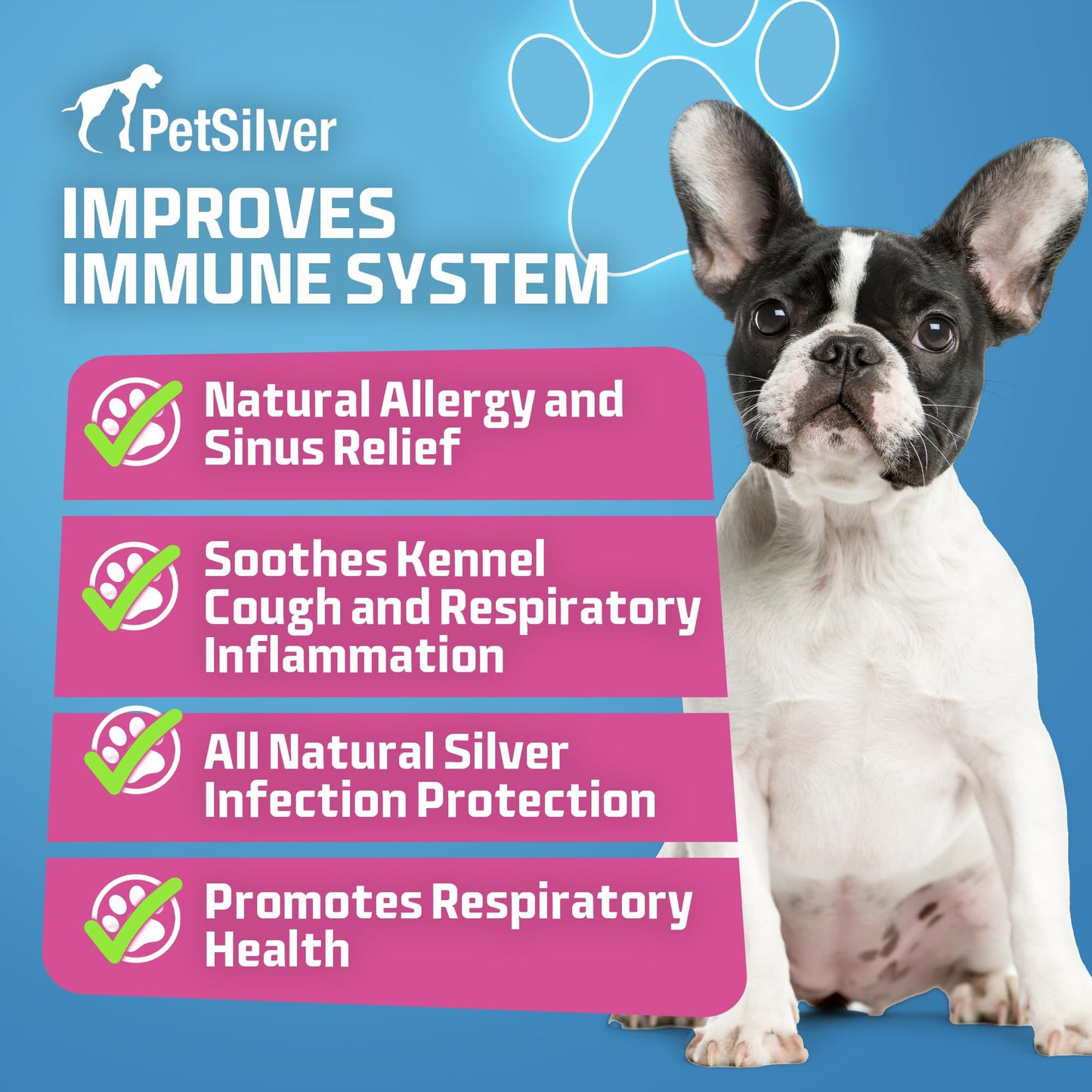 PetSilver Immune Support - Patented Chelated Silver Solution - Promotes Respiratory Health in Cats & Dogs - Allergies, Sinus & Cough Treatment - All-Natural Nebulizer Solution - Easy to Use 16 fl oz