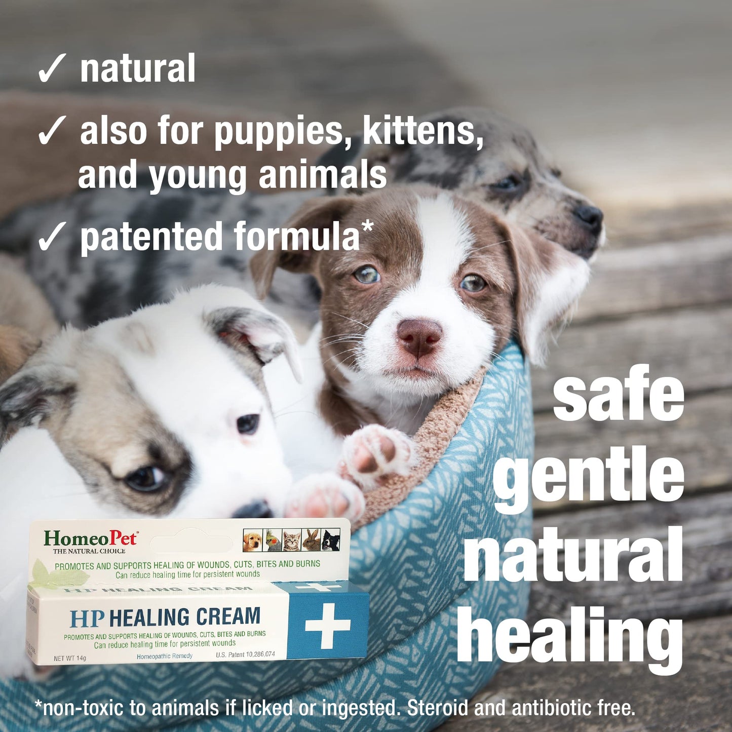 HomeoPet HP Healing Cream, Natural Support for Pet Wound Healing, Skin-Healing Cream for Dogs and Cats, 14 Grams