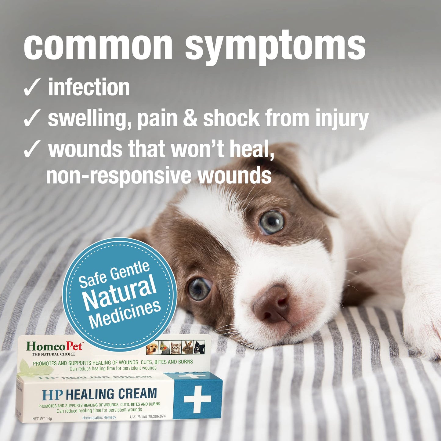 HomeoPet HP Healing Cream, Natural Support for Pet Wound Healing, Skin-Healing Cream for Dogs and Cats, 14 Grams