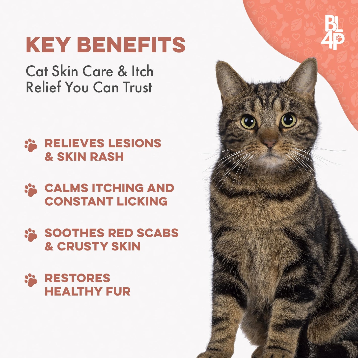 Mange Treatment for Cats, Natural Ear Mite Treatment & Cat Itchy Skin Relief Helps with Feline Scabies, Cat Dandruff, Shedding, Excessive Grooming and General Feline Skin Care, 400 Odorless Pills