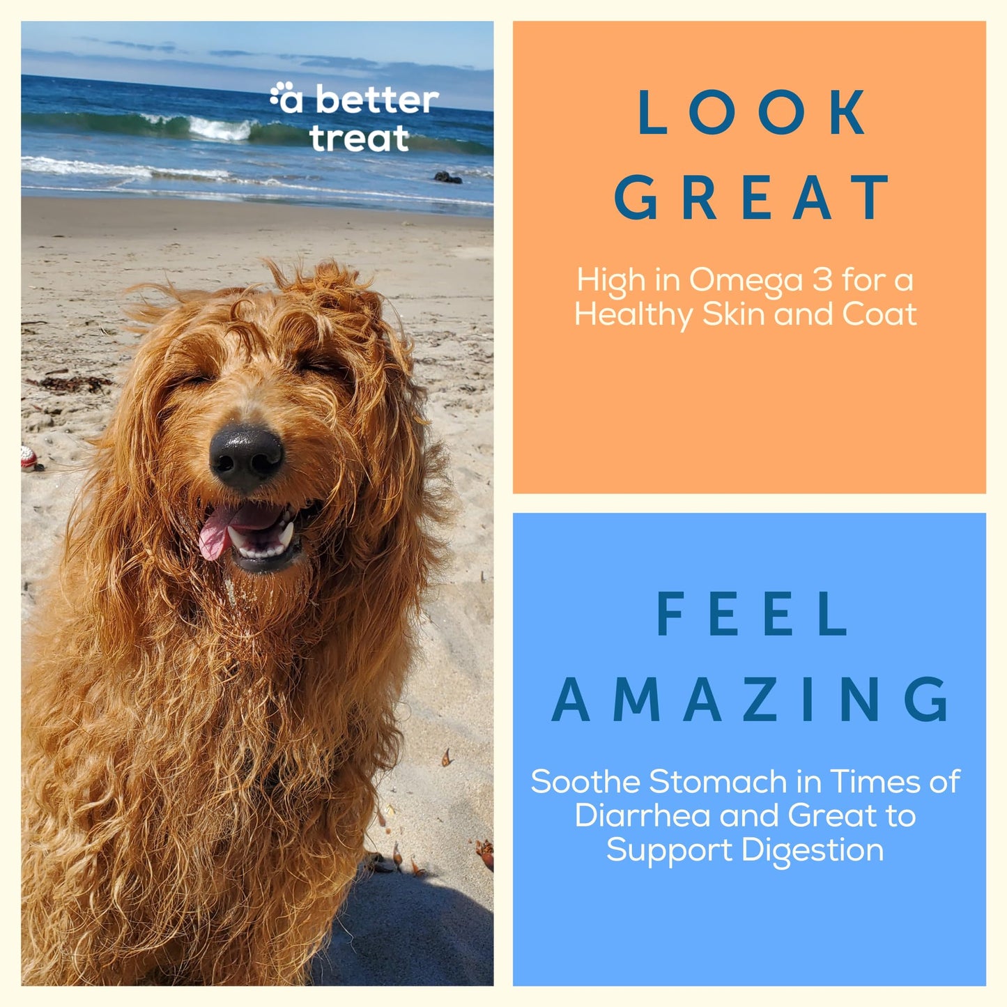 A Better Treat – Freeze Dried Organic Pumpkin, Wild Caught Salmon, Grass Fed Beef, Free-Range Chicken Dog and Cat Treats | Natural, Healthy, Diabetic Friendly | Made in The USA