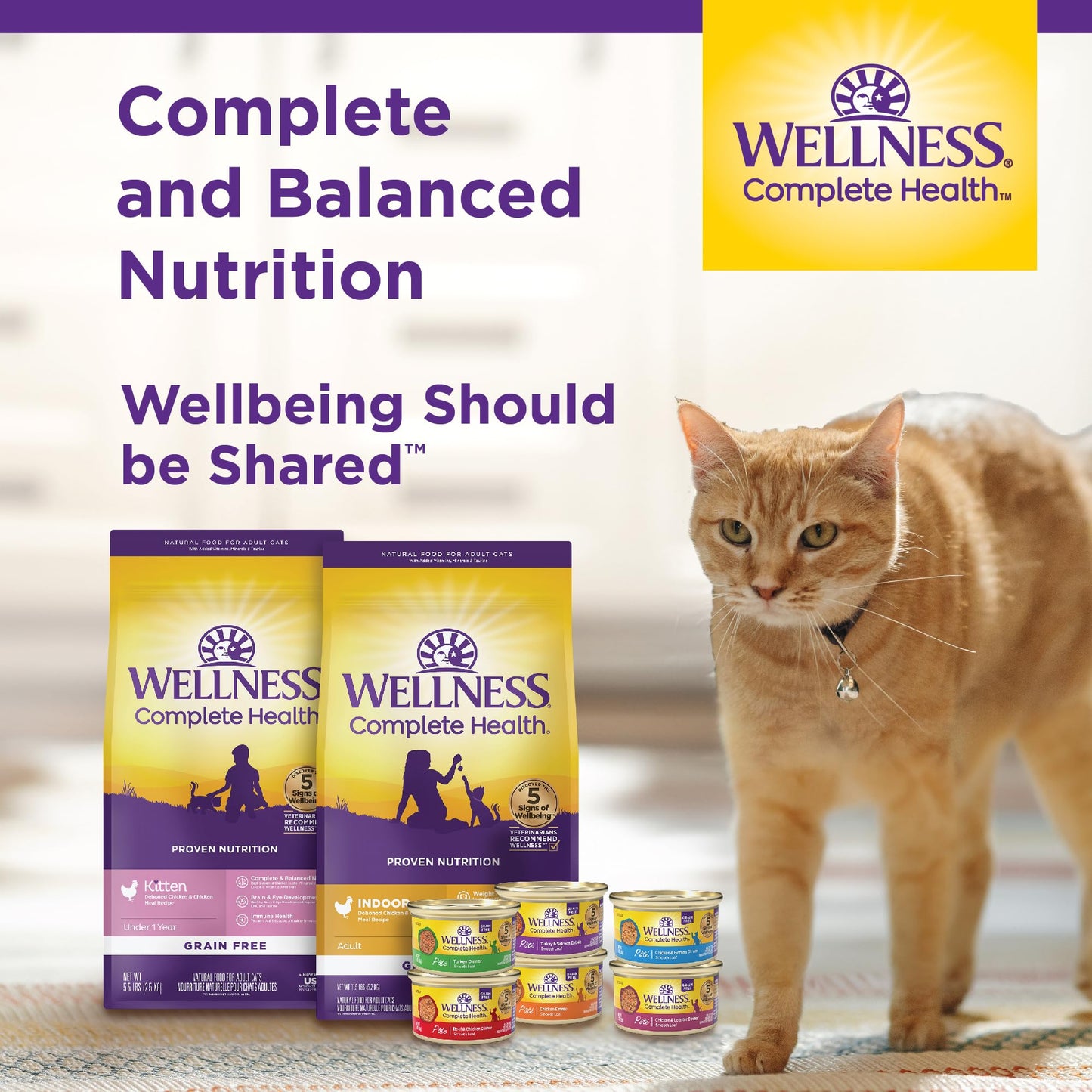 Wellness Natural Pet Food Complete Health Grain-Free Indoor Healthy Weight Chicken & turkey meal Recipe Dry Cat Food, 5.5 Pound Bag