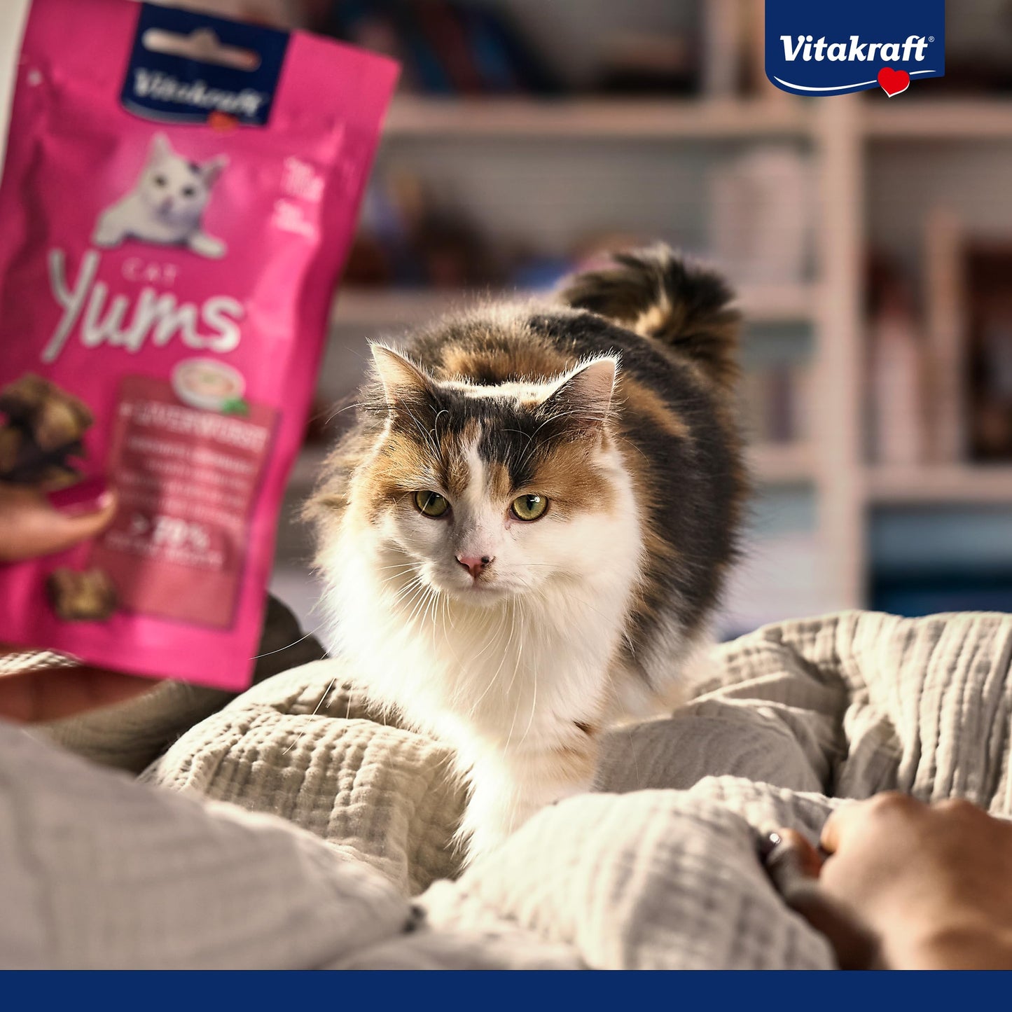 Vitakraft Cat Yums, Katzensnack, mit Huhn und Katzengras, mit sichtbarer Füllung, im wiederverschließbaren Beutel, ohne Zusatz von Zucker und Getreide (1x 40g)