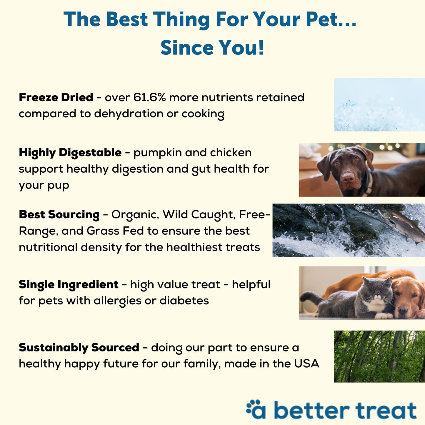 A Better Treat – Freeze Dried Organic Pumpkin, Wild Caught Salmon, Grass Fed Beef, Free-Range Chicken Dog and Cat Treats | Natural, Healthy, Diabetic Friendly | Made in The USA