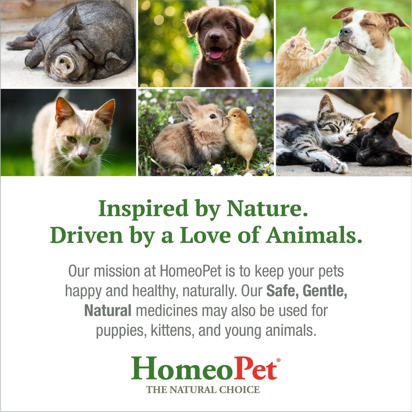 HomeoPet HP Healing Cream, Natural Support for Pet Wound Healing, Skin-Healing Cream for Dogs and Cats, 14 Grams