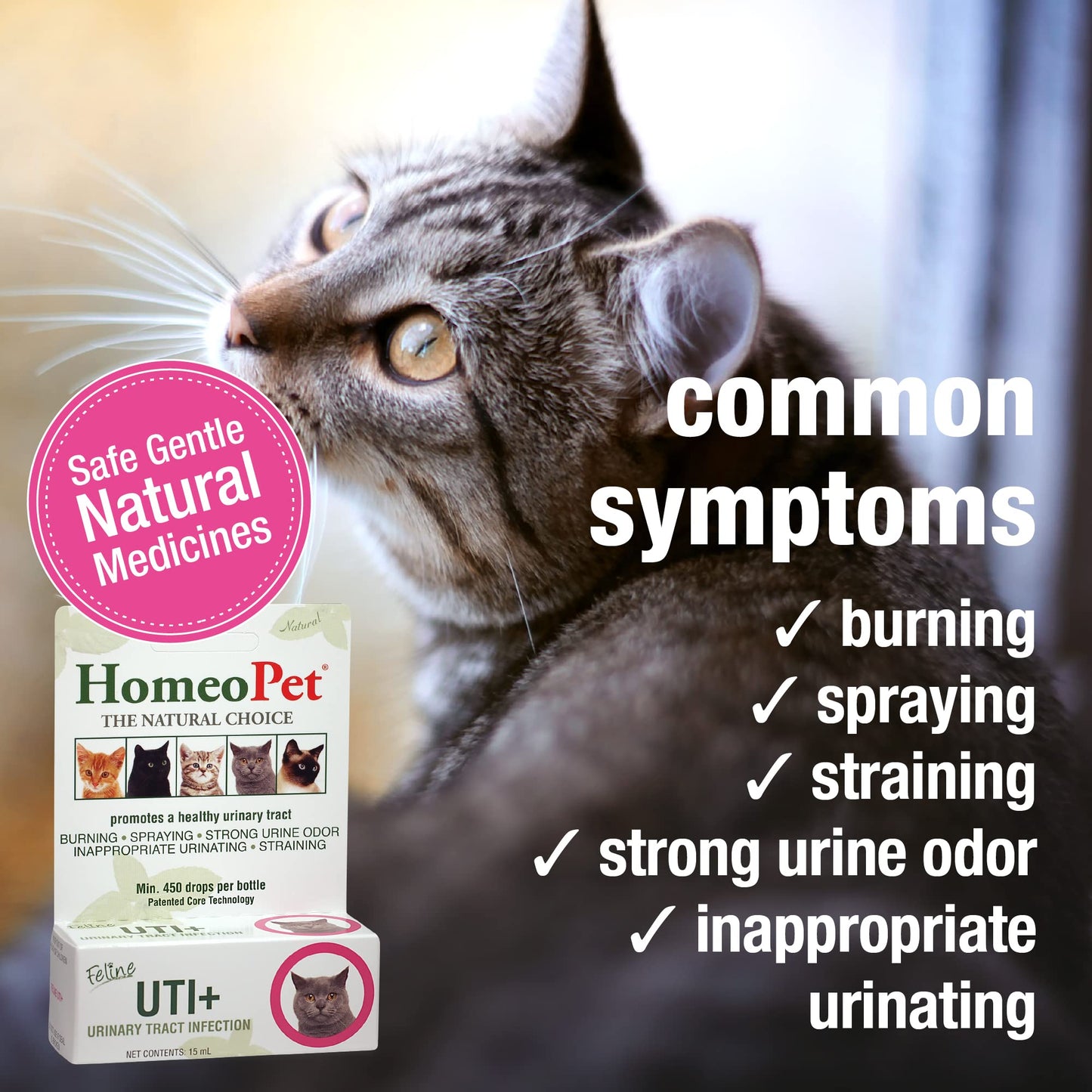 HomeoPet Feline UTI Plus, Safe and Natural Urinary Tract Medicine for Cats, Feline Urinary Tract Support, 15 Milliliters