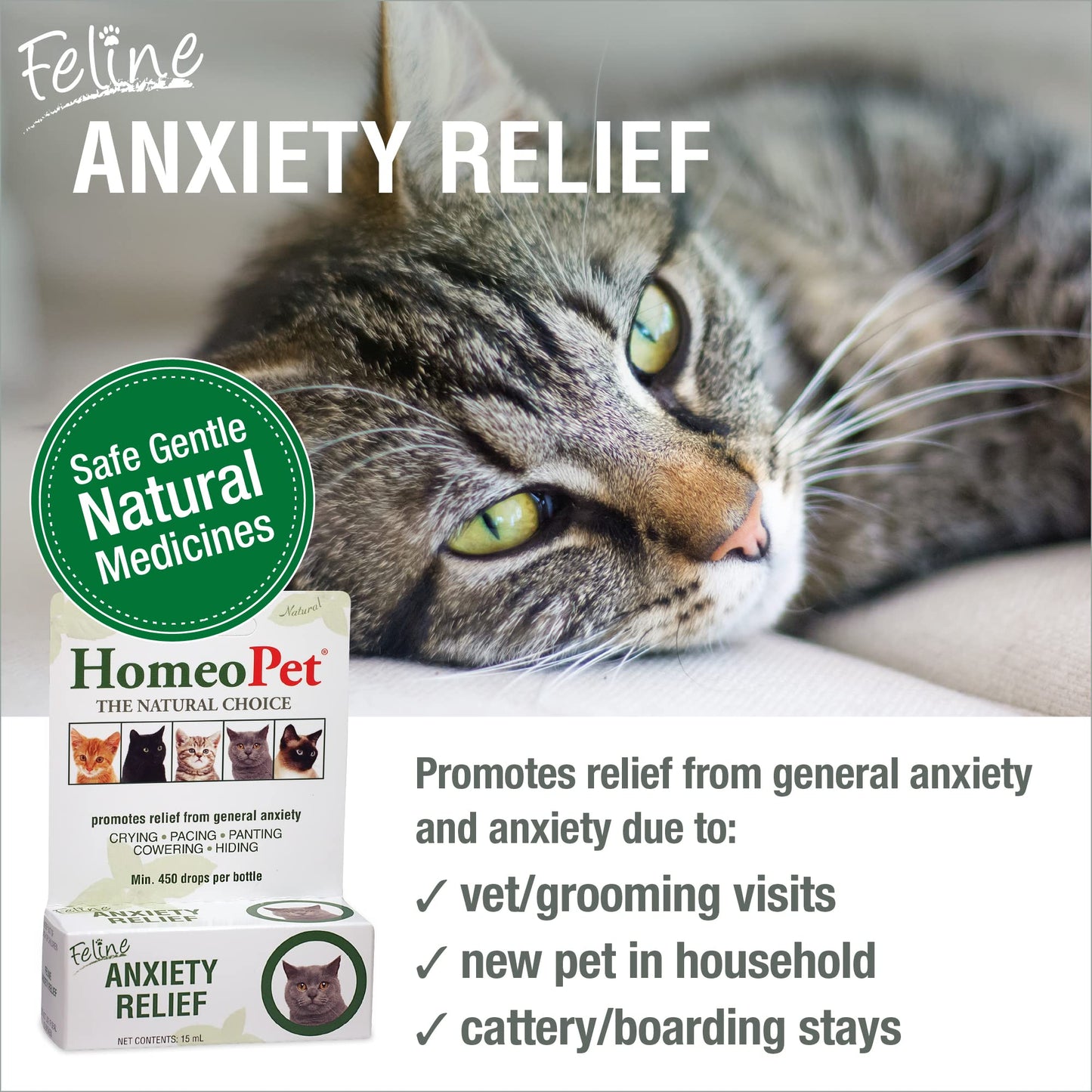 HomeoPet Feline Anxiety Relief, Natural Stress and Anxiety Support, Anxiety Supplement for Cats, 15 Milliliters