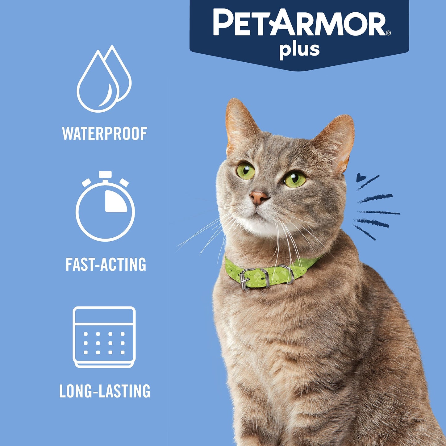 PetArmor Plus Flea and Tick Prevention for Cats, Cat Flea and Tick Treatment, 1 Dose, Waterproof Topical, Fast Acting, Cats Over 1.5 lbs