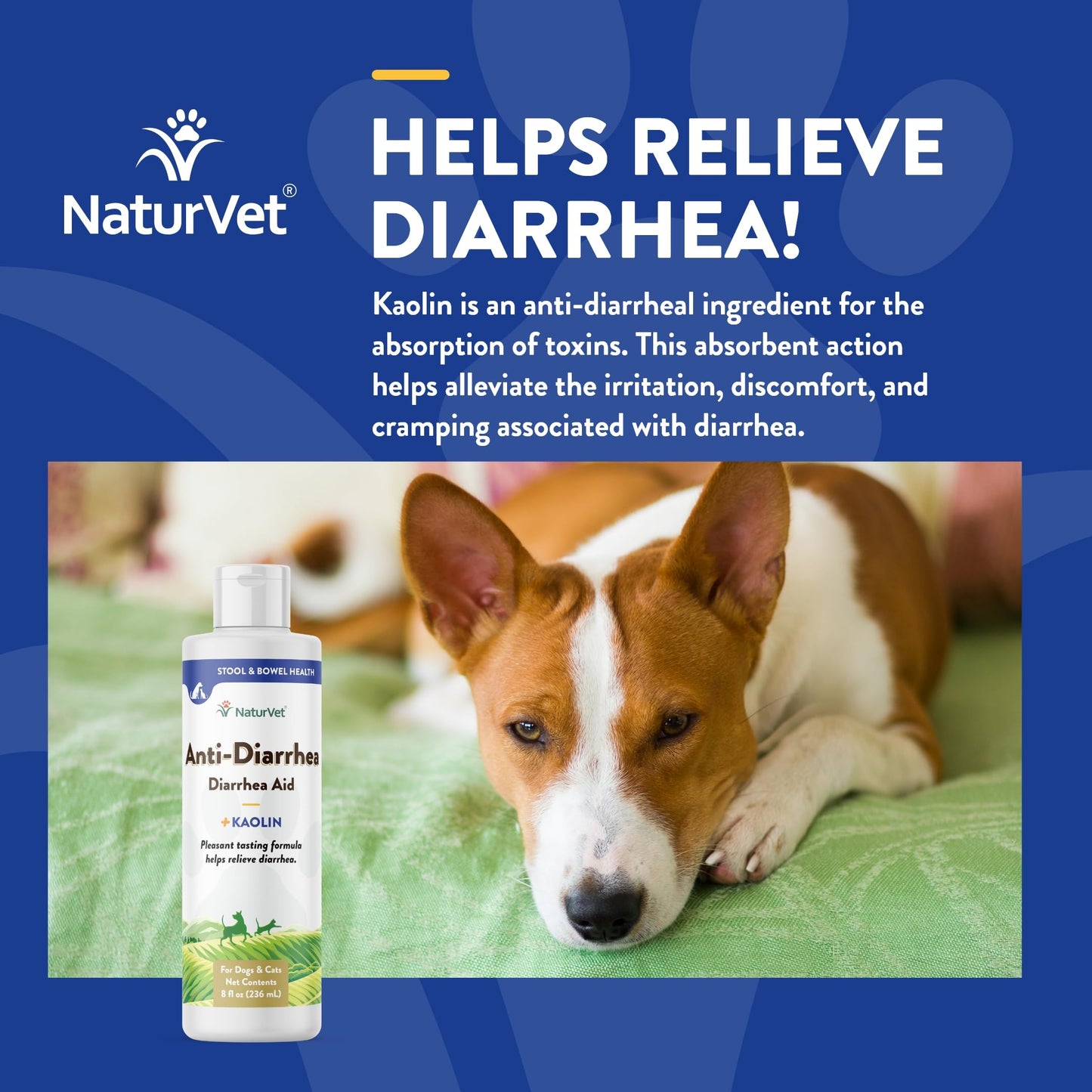 NaturVet Anti-Diarrhea Liquid Pet Supplement Plus Kaolin – Helps Alleviate Discomfort, Cramping, Irritation from Diarrhea for Dogs, Cats – Great Taste – 8 Oz.