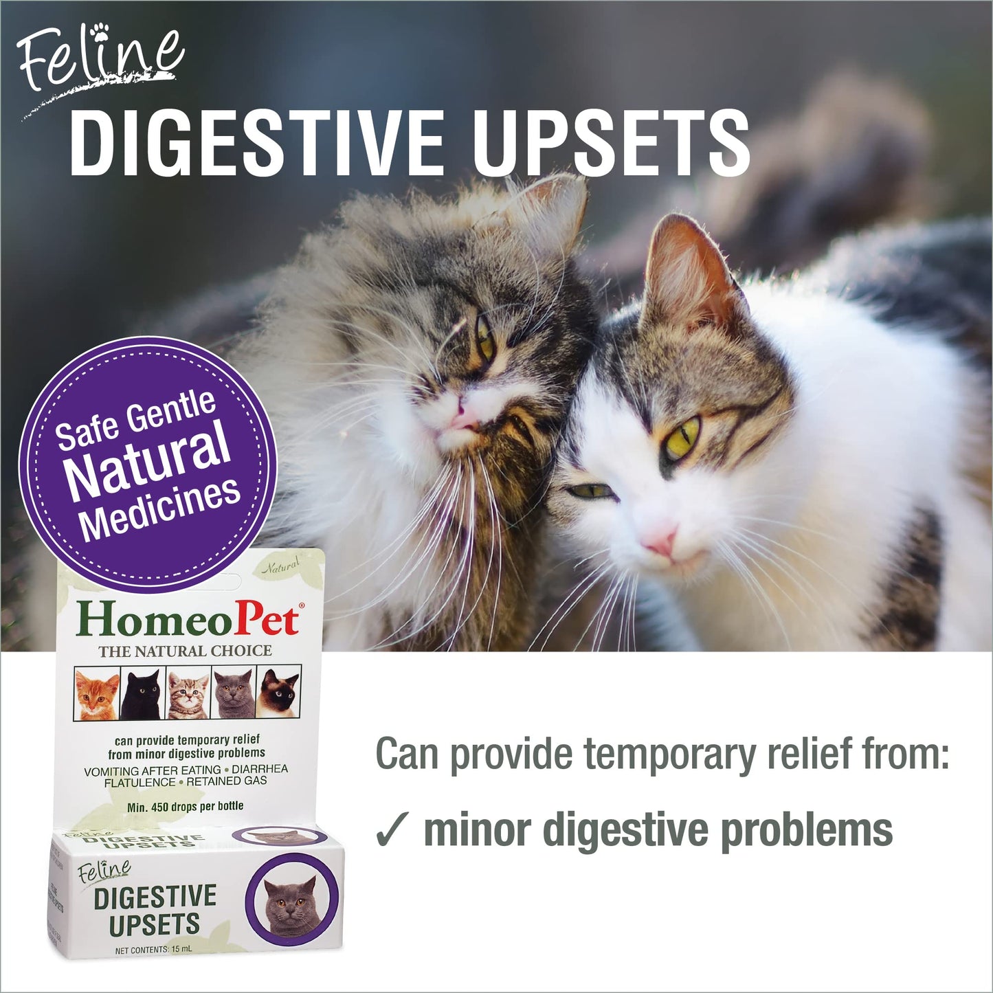 HomeoPet Feline Digestive Upsets, Natural Cat Digestive Support, Digestive Supplement for Cats, 15 Milliliters