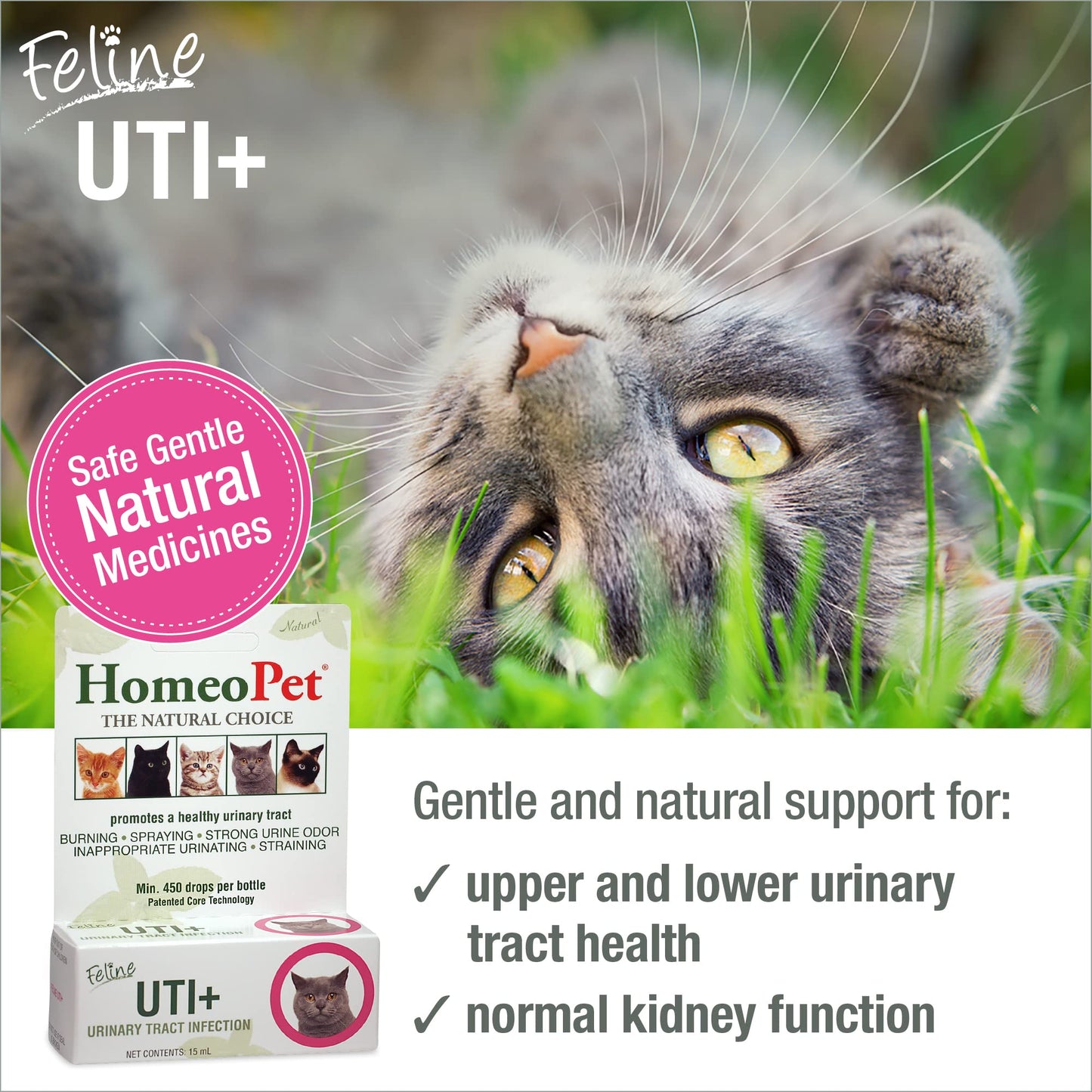 HomeoPet Feline UTI Plus, Safe and Natural Urinary Tract Medicine for Cats, Feline Urinary Tract Support, 15 Milliliters