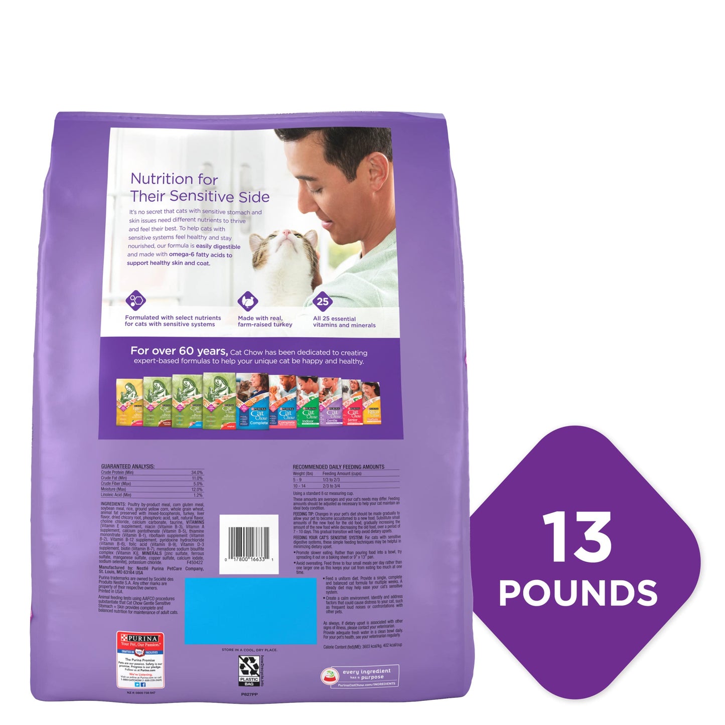 Purina Cat Chow Gentle Dry Cat Food, Sensitive Stomach + Skin - 13 lb. Bag