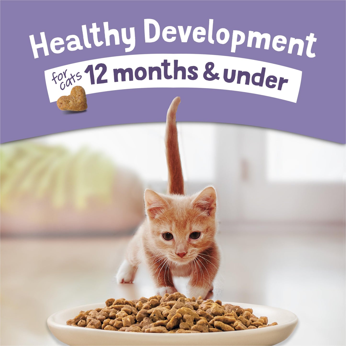 Purina Kitten Chow Kitten Food Healthy Development with Real Chicken Dry Kitten Food - 14 lb. Bag