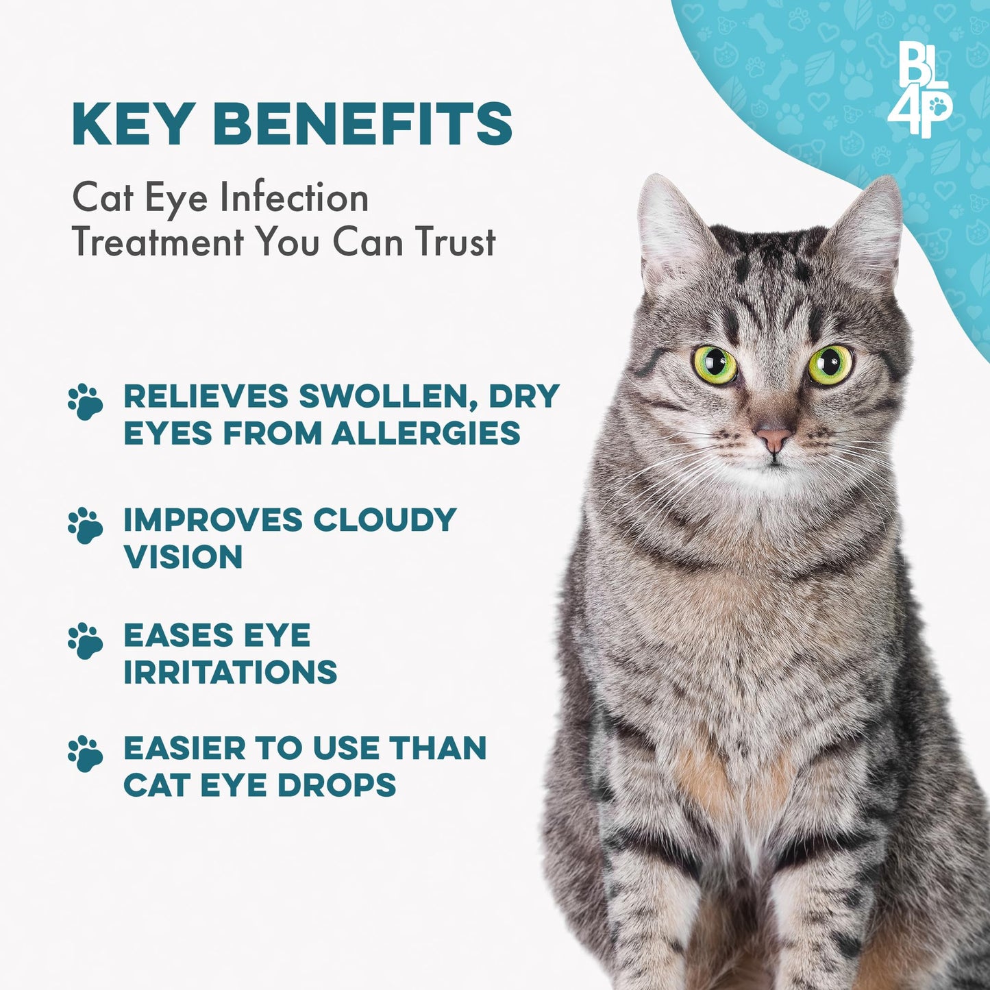 Cat Eye Infection & Vision Care Support, Holistic Vision Support for Cats & Kittens, Soothes Eye Infections, Conjunctivitis, Swelling, and Discharge, Easy to Use, 400 Odorless, Tasteless Pills