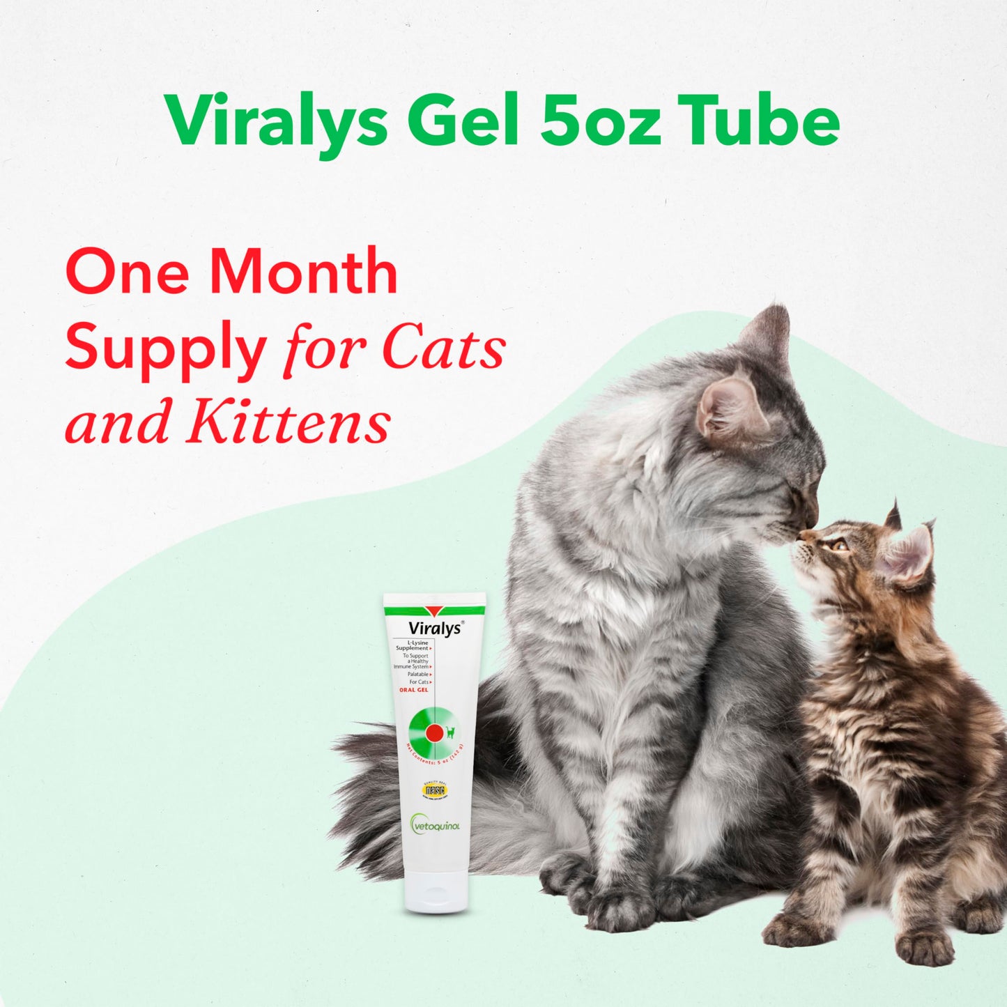 Vetoquinol Viralys Gel L-Lysine Supplement for Cats, 5oz - Cats & Kittens of All Ages - Immune Health - Sneezing, Runny Nose, Squinting, Watery Eyes - Palatable Maple Flavor Lysine Gel