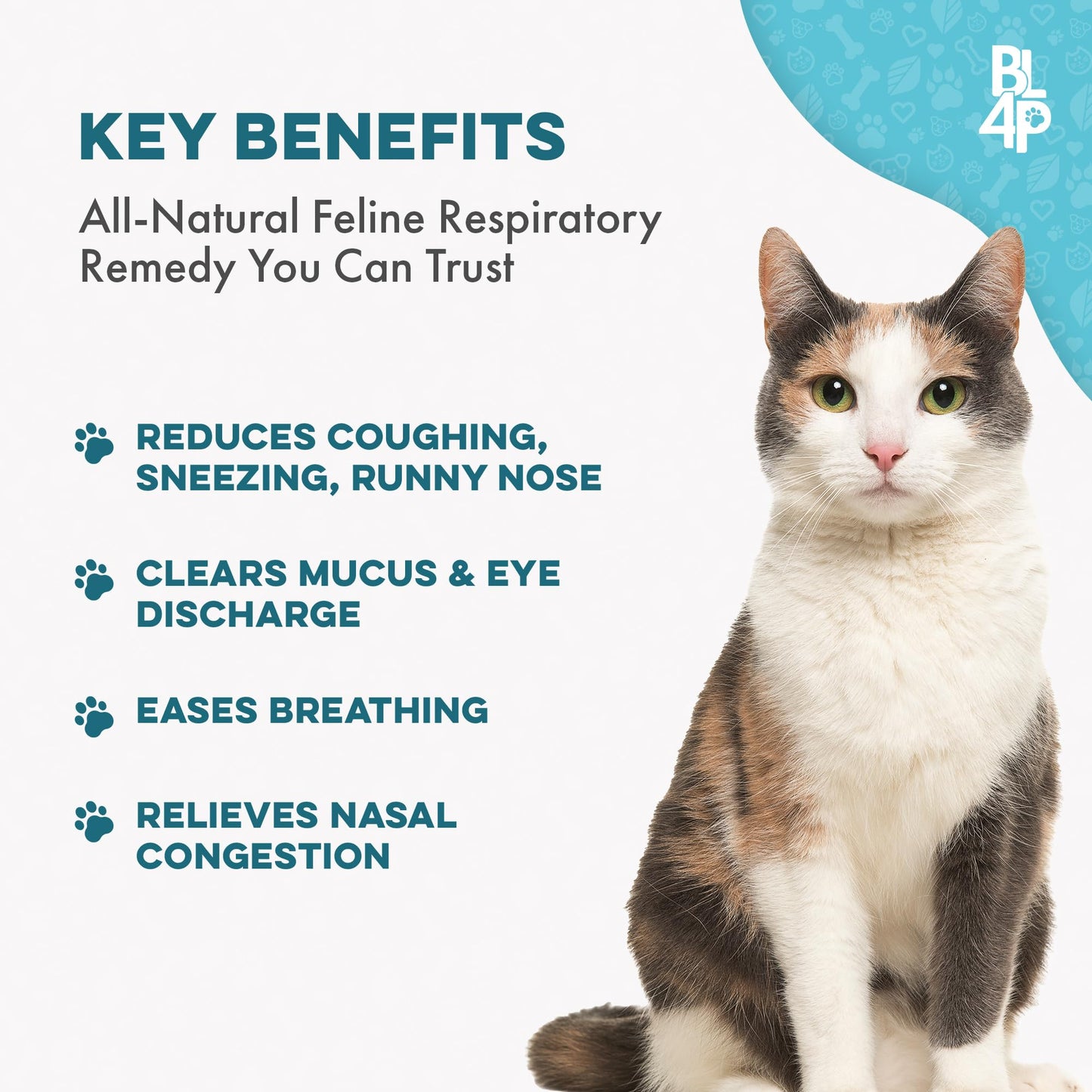 Cat Cold & Respiratory Infection Remedy, Breathe Easy Upper Respiratory Treatment for Cats Provides Natural Relief for Sneezing, Coughing, Nasal Congestion and Asthma, 400 Odorless, Tasteless Pills