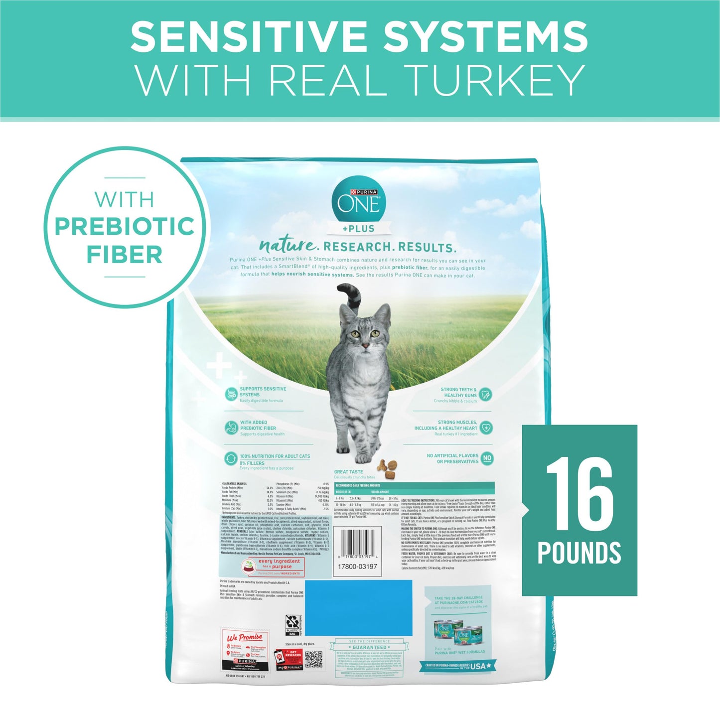 Purina ONE Sensitive Stomach, Sensitive Skin, Natural Dry Cat Food, +Plus Sensitive Skin and Stomach Formula - 16 lb. Bag