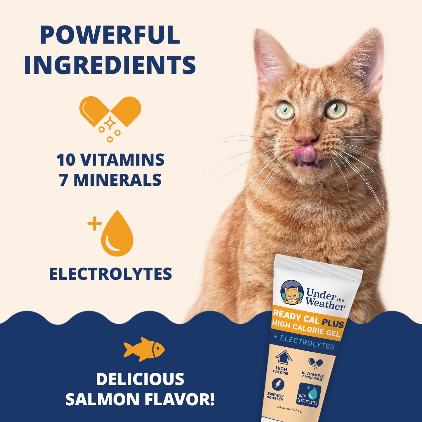 Under the Weather Pet Electrolytes Ready Cal Plus Gel for Cats | Vet-Formulated High-Calorie Supplement for Cats & Kittens | Promotes Weight Gain & Boosts Energy for Sick Cats | 3.5 Oz Tube Pack