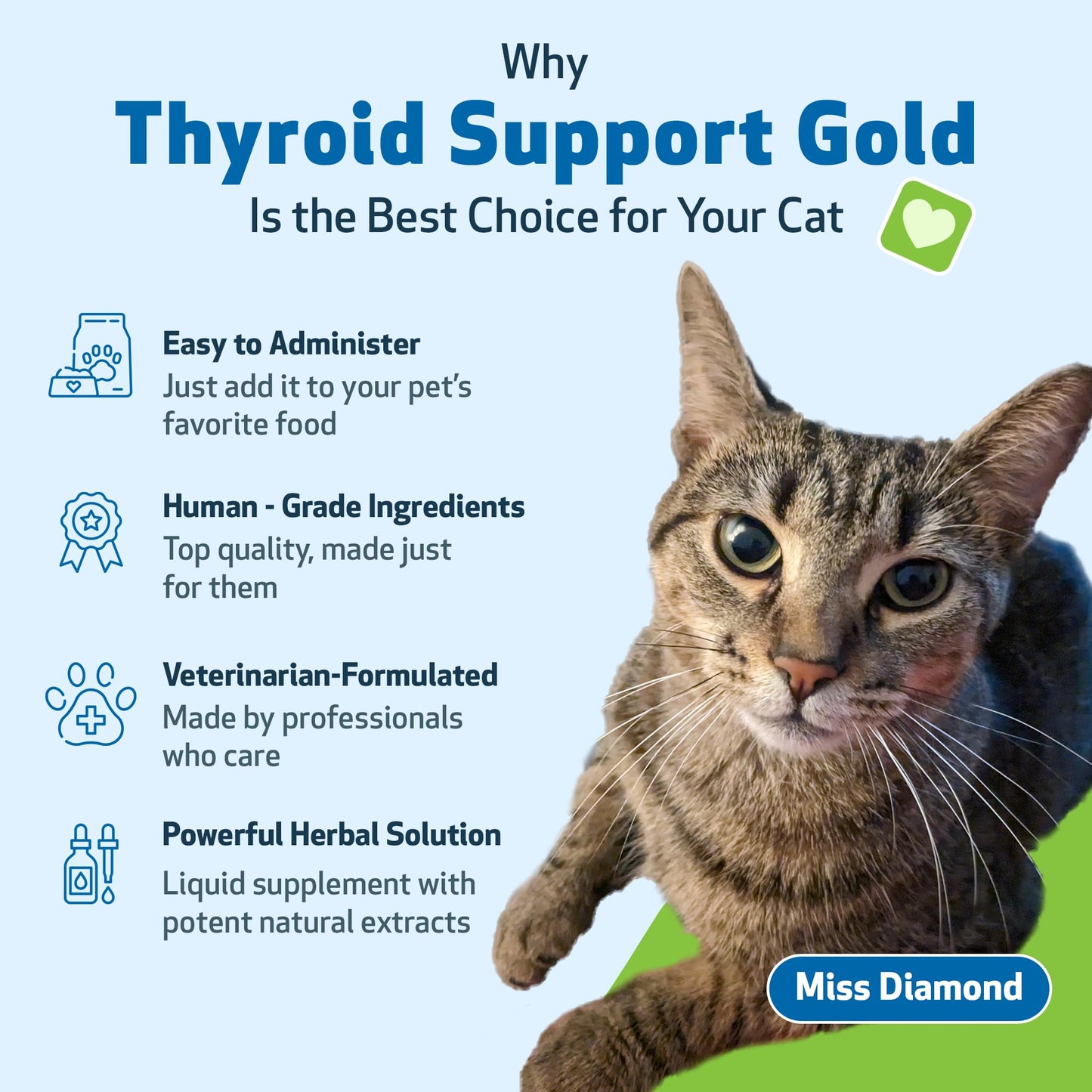 Pet Wellbeing Thyroid Support Gold for Cats - Supports Healthy Thyroid Gland Function in Cats, Normal Metabolism, Bugleweed, Lemon Balm - Veterinarian-Formulated Herbal Supplement 2 fl oz (59 ml)