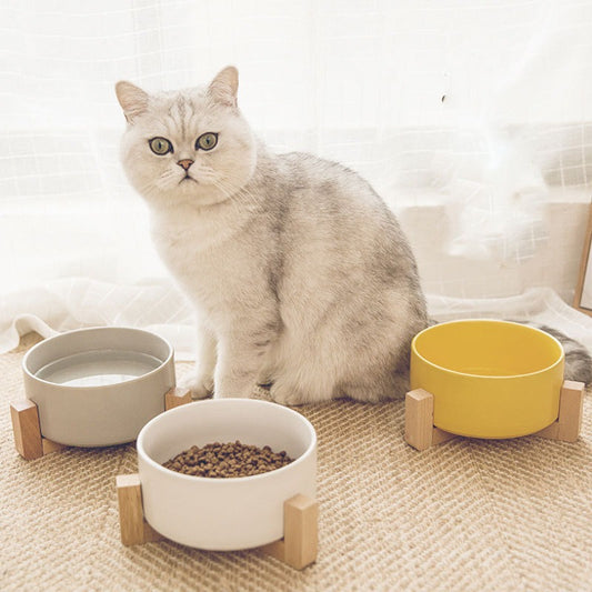 New Cute Pet Cat Bowl Cat Bowl Ceramic Bowl Drinking Feeding Non-Slip With a Wooden Frame To Prevent Knocking Over