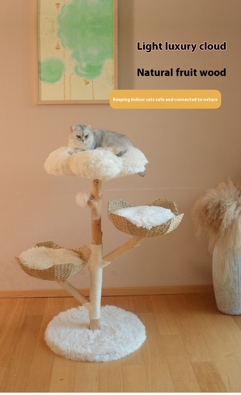 Natural Fruit Tree Cat Climbing Frame Solid Wood Rattan Cat Nest Cat Tree