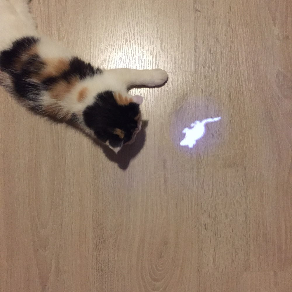 Amazingly Cat Toy Creative and Funny Pet Cat Toys LED Pointer light Pen