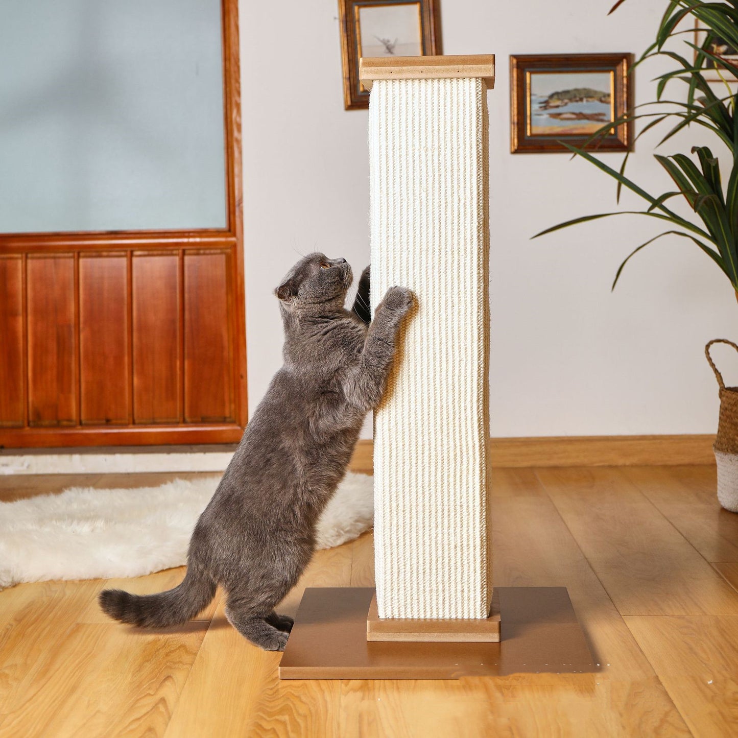 Cat Climbing Frame Roman Column