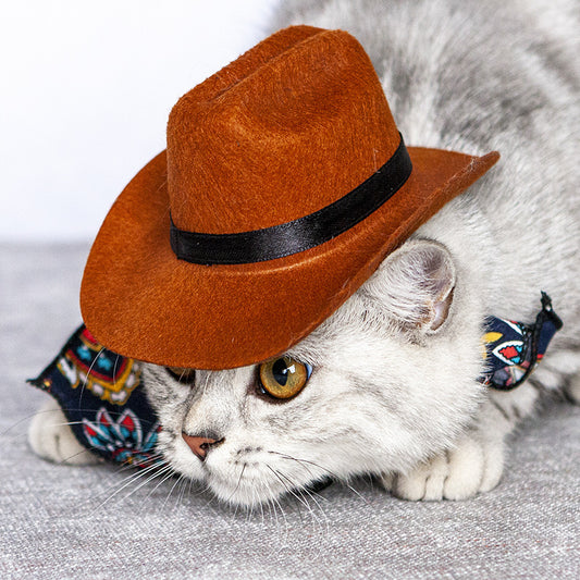 Pet Cat Western Straw Cowboy Hat