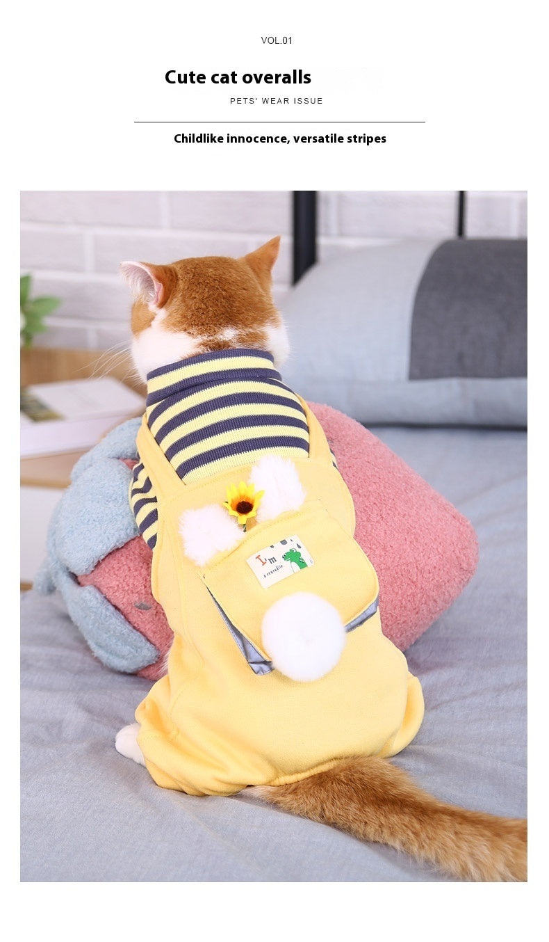 Warm And Cute Clothes For Four-legged Anti-lint Cat And Pet