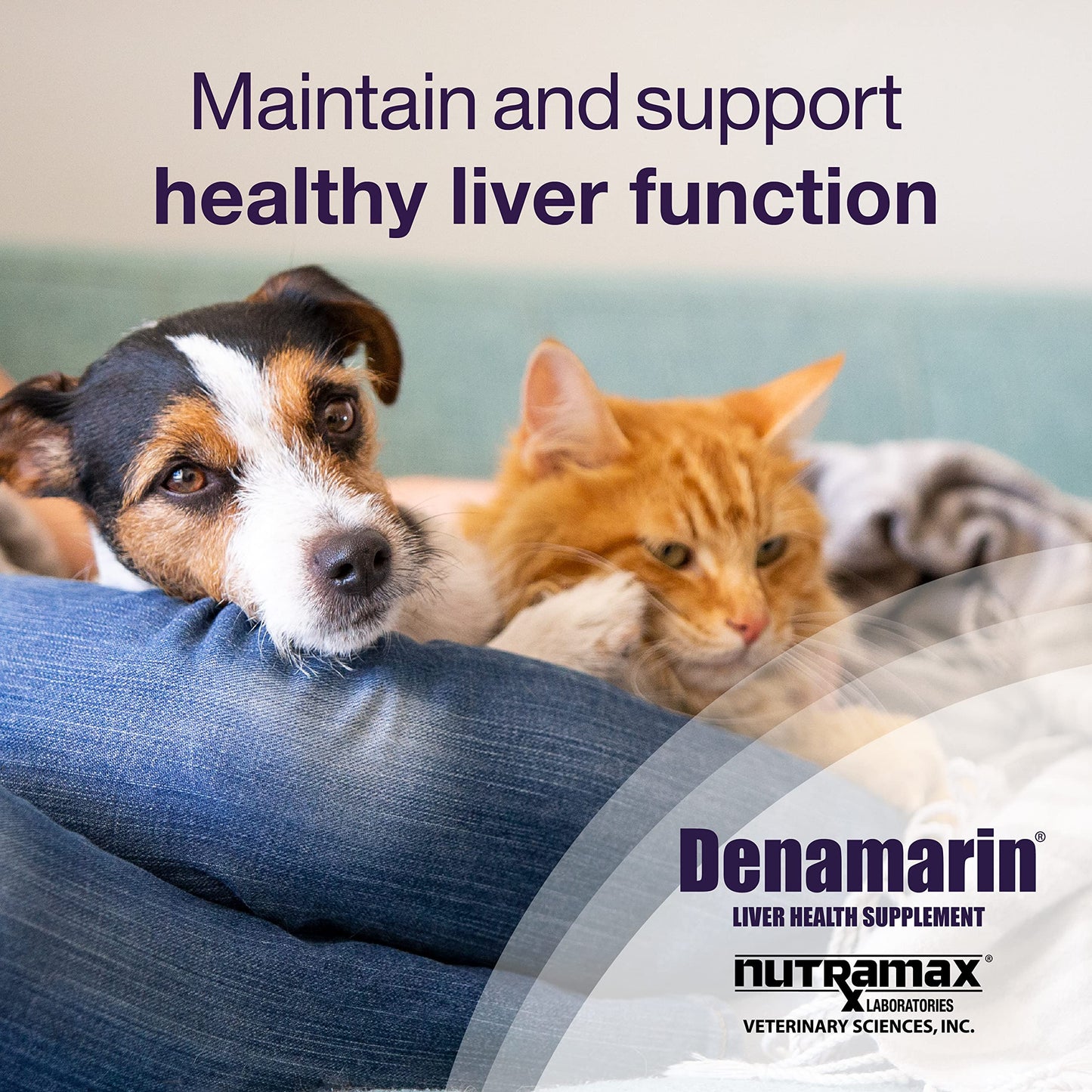 Nutramax Laboratories Denamarin Liver Health Supplement for Small Dogs and Cats - With S-Adenosylmethionine (SAMe) and Silybin, 30 Tablets